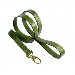 daisy_lime_green_4e399651a31cb.jpg