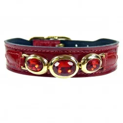 regency_in_ruby__4f74e921bdf61.jpg