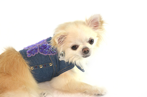 JEAN-VEST_01.jpg