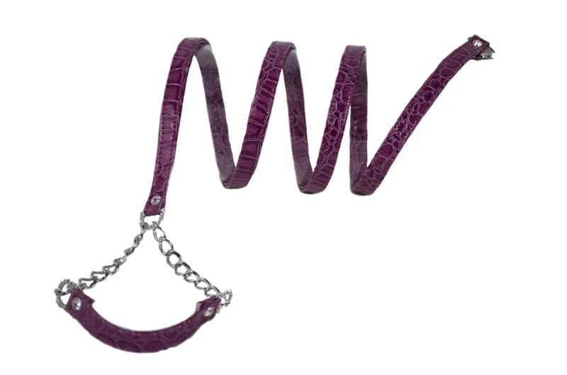 rasberry-leash.jpg