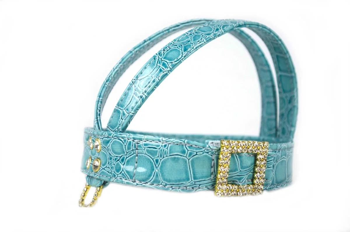 turquoise harness.jpg
