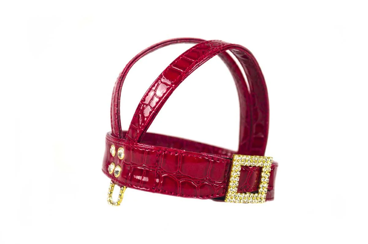 candy red harness_edited-3.jpg