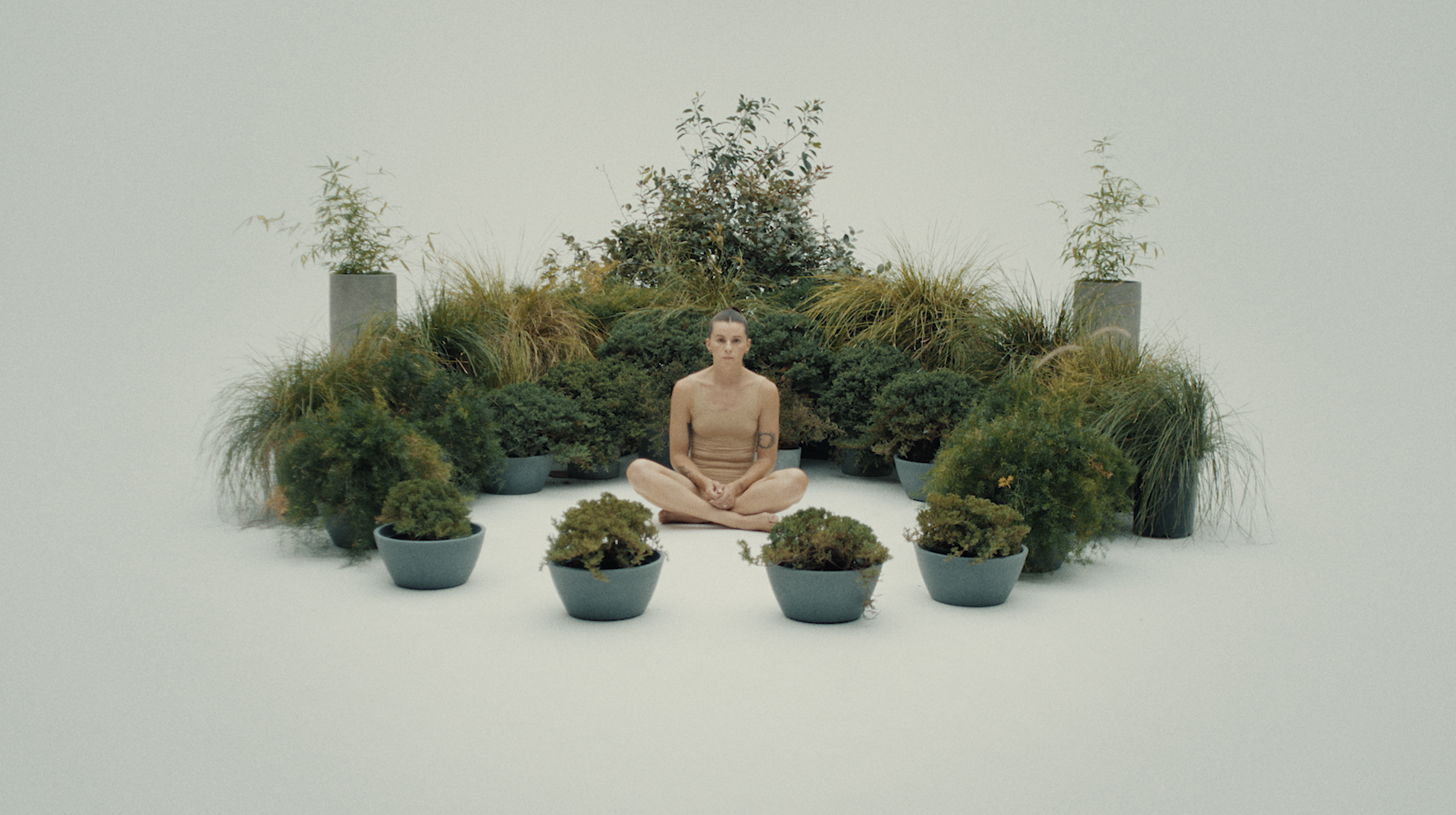 PVRIS - Anywhere But Here/Animal Music Videos