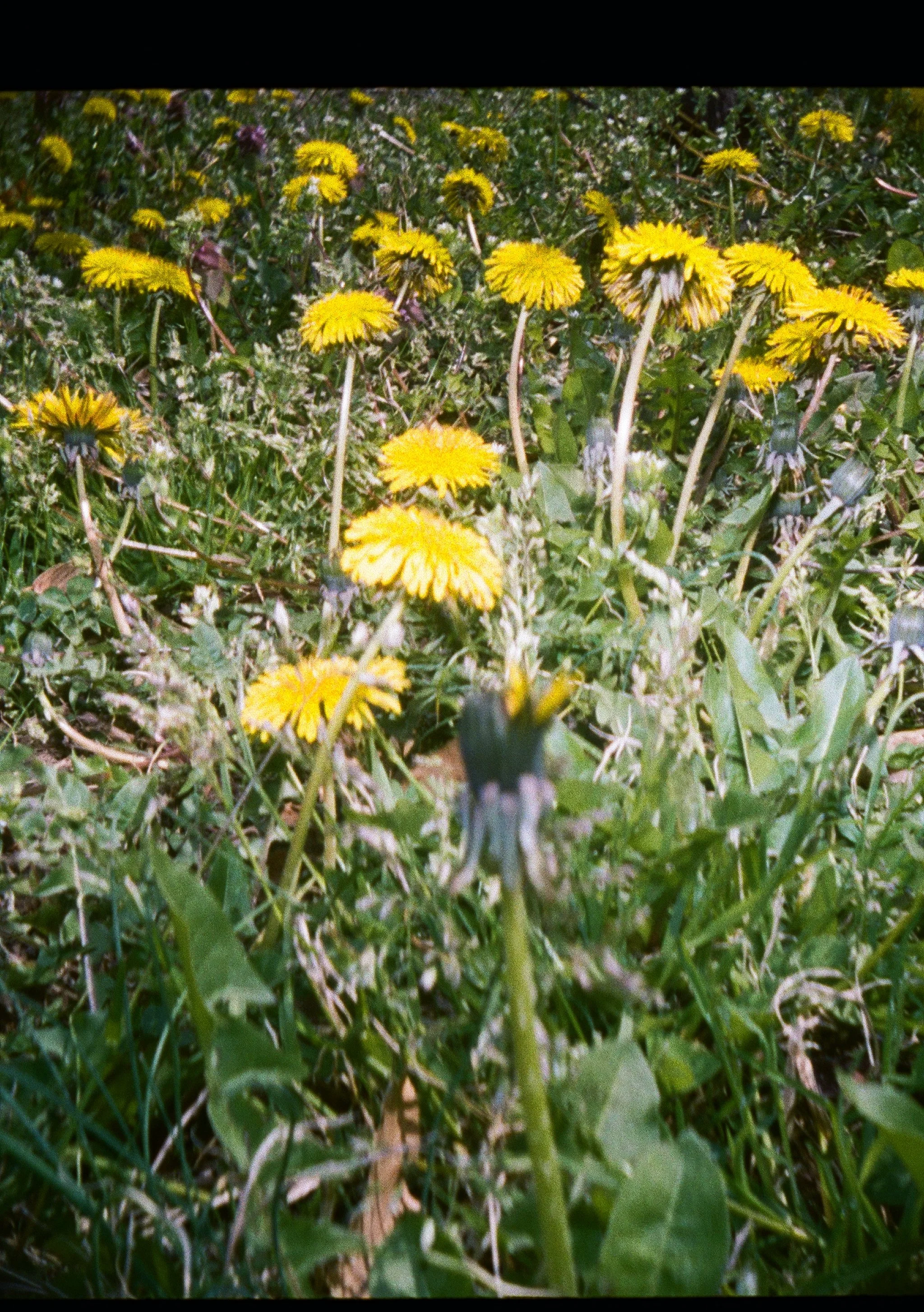   Additional photography used as social teasers  