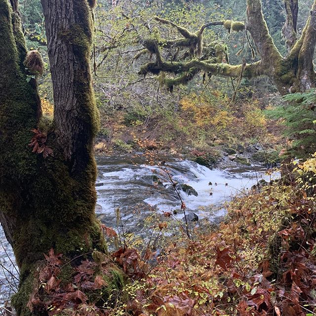 Magical retreat here on Vancouver Island doing Family Constellation work with so many wonderful and beautiful people. &bull;
(What is Constellation work? Constellation Work is collective team effort in addressing and healing family and generational t