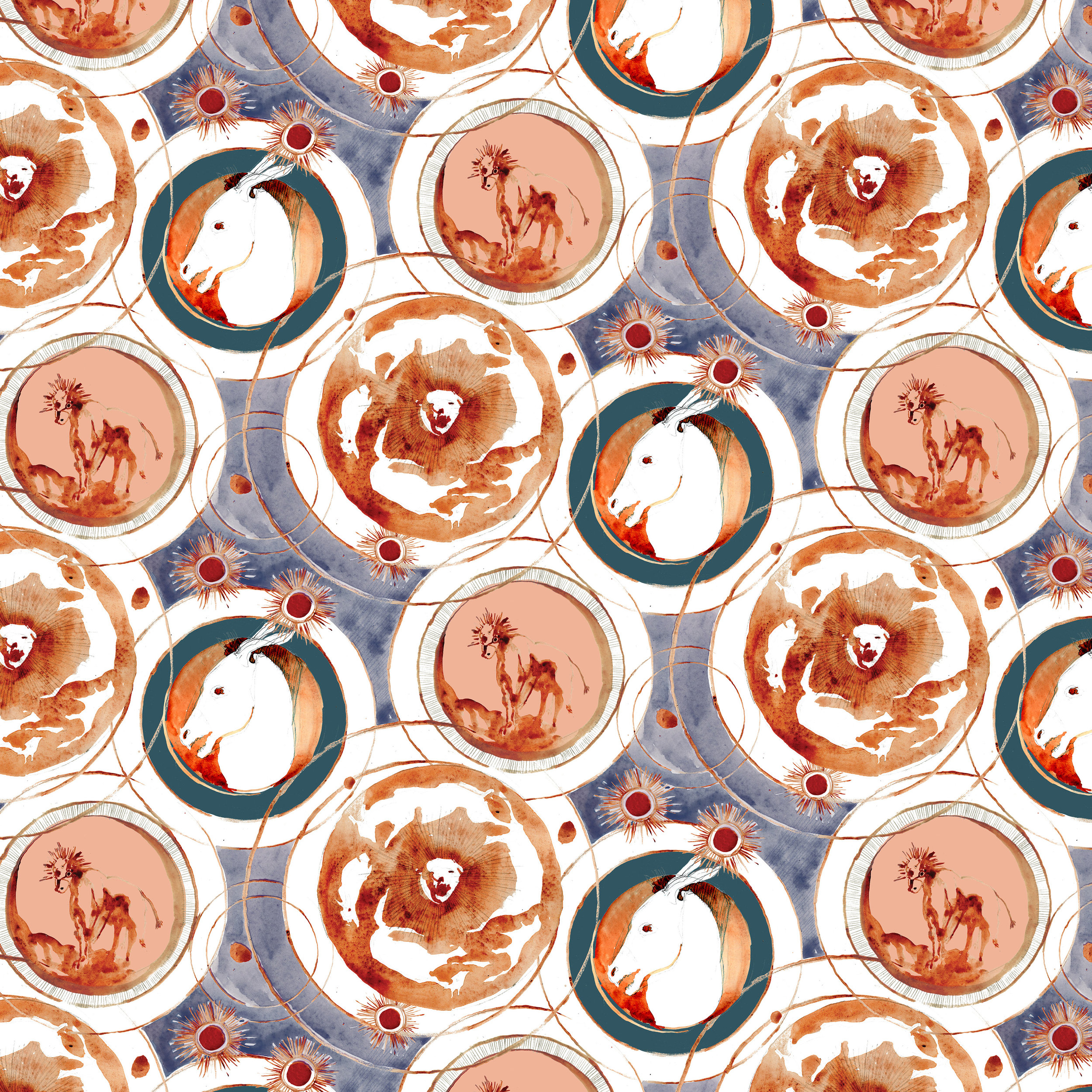 CONCENTRIC WEBSITE.jpg
