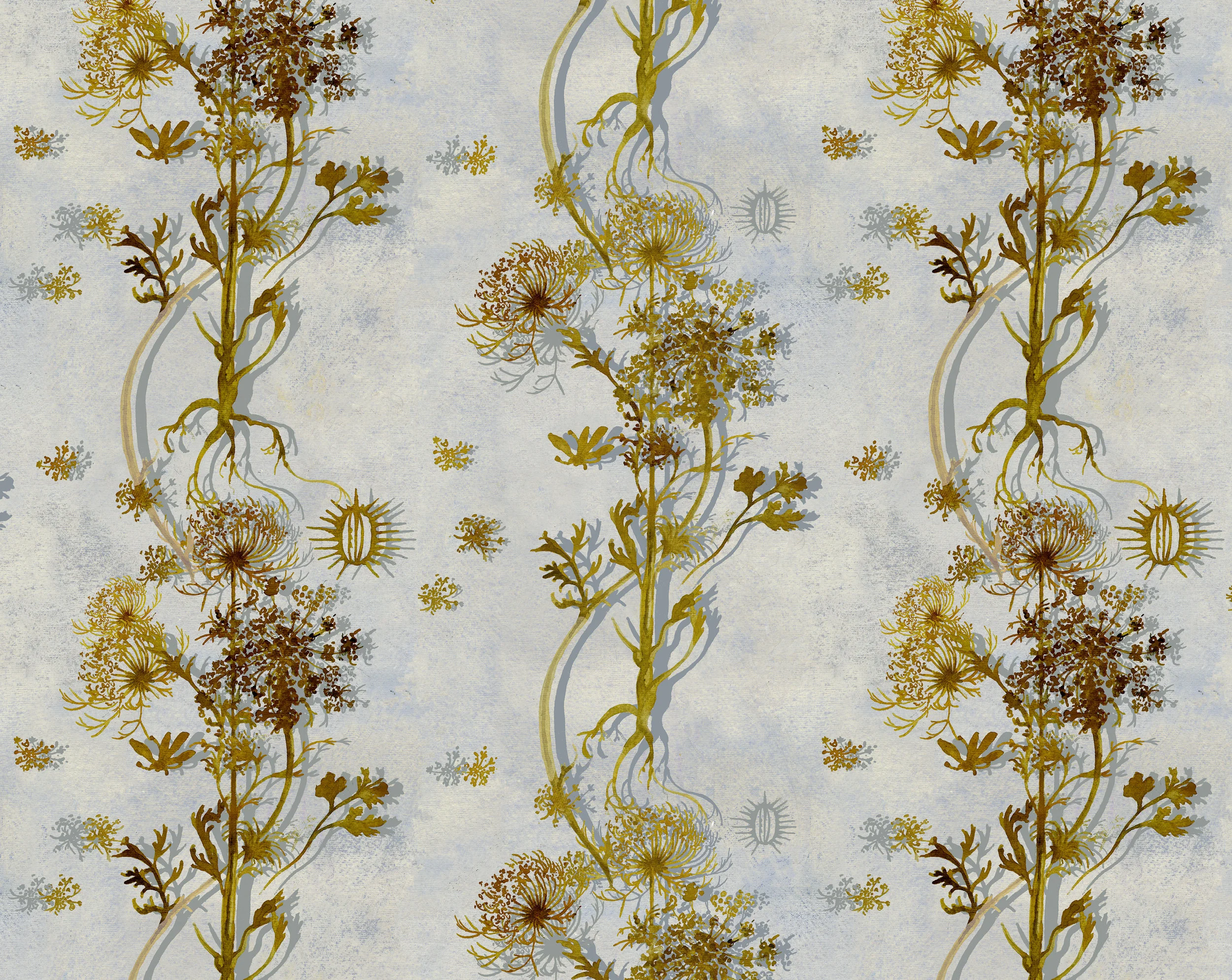 TULICARPA COLLECTION - "QUEEN ANNE'S"