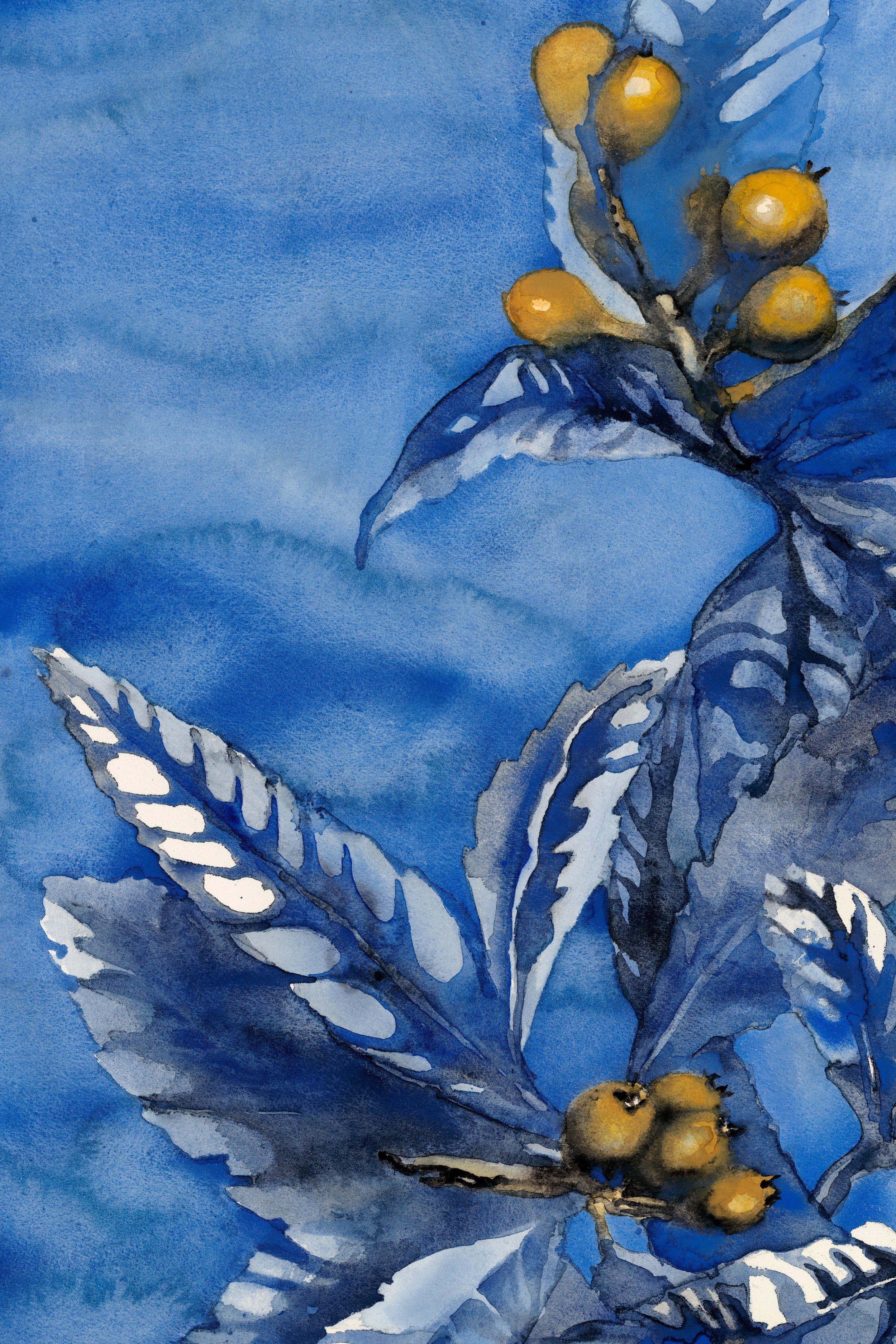Loquat Diptych Left Panel