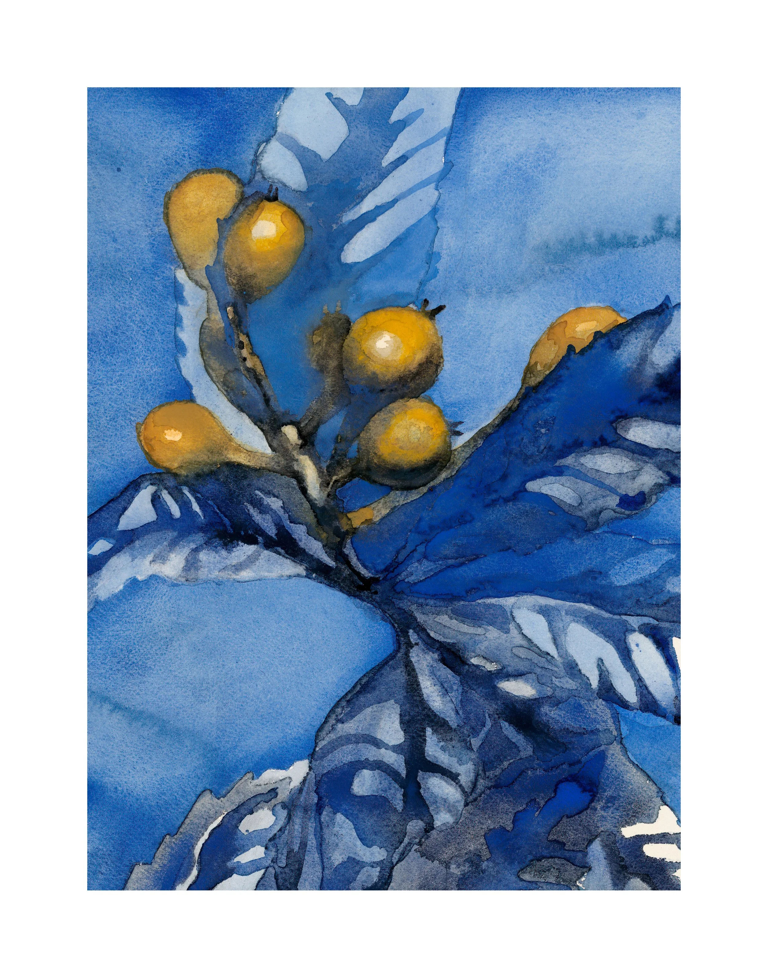ultramarine1.jpg