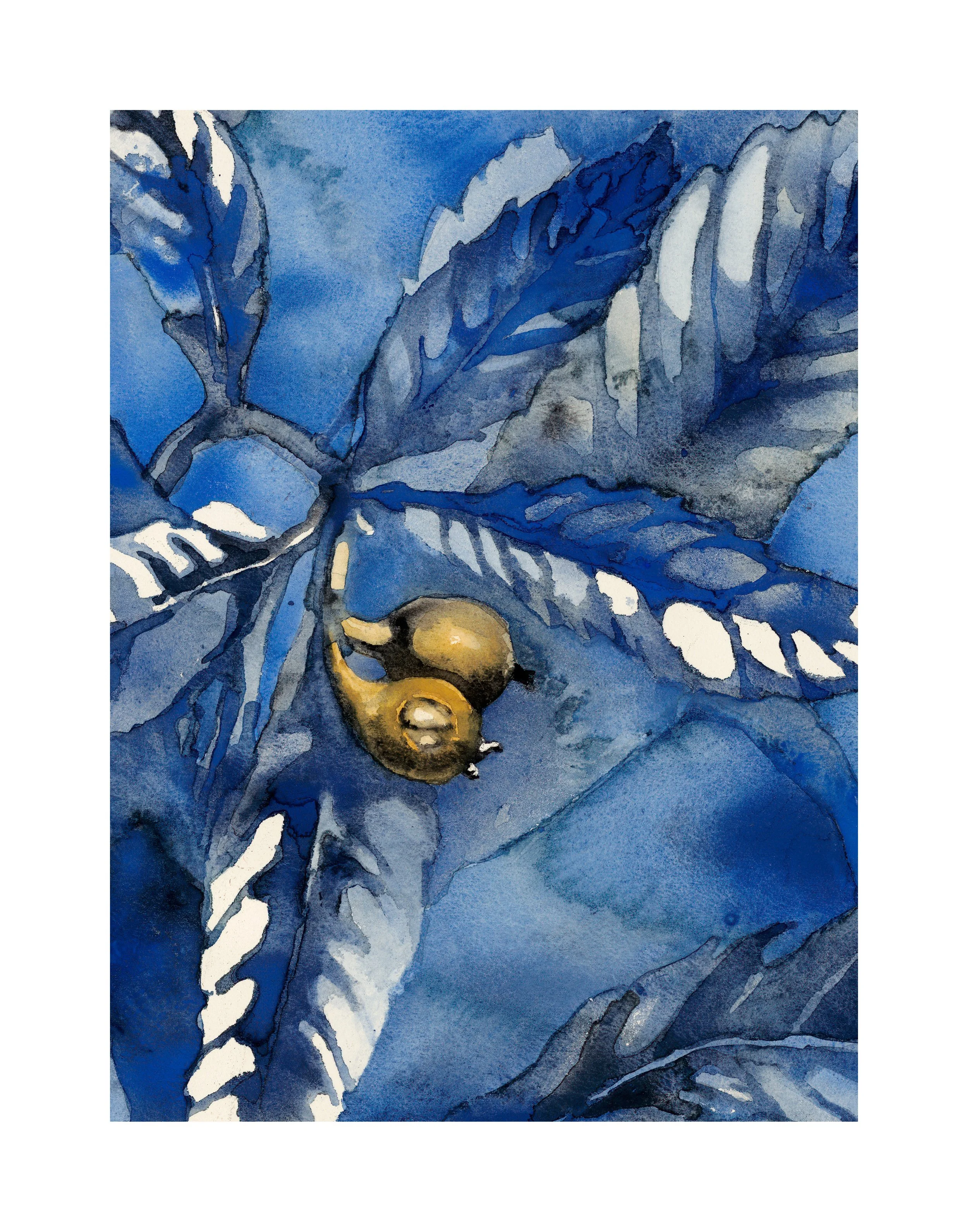 ultramarine3.jpg