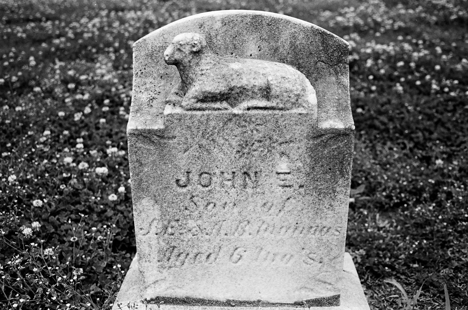 John and his lamb