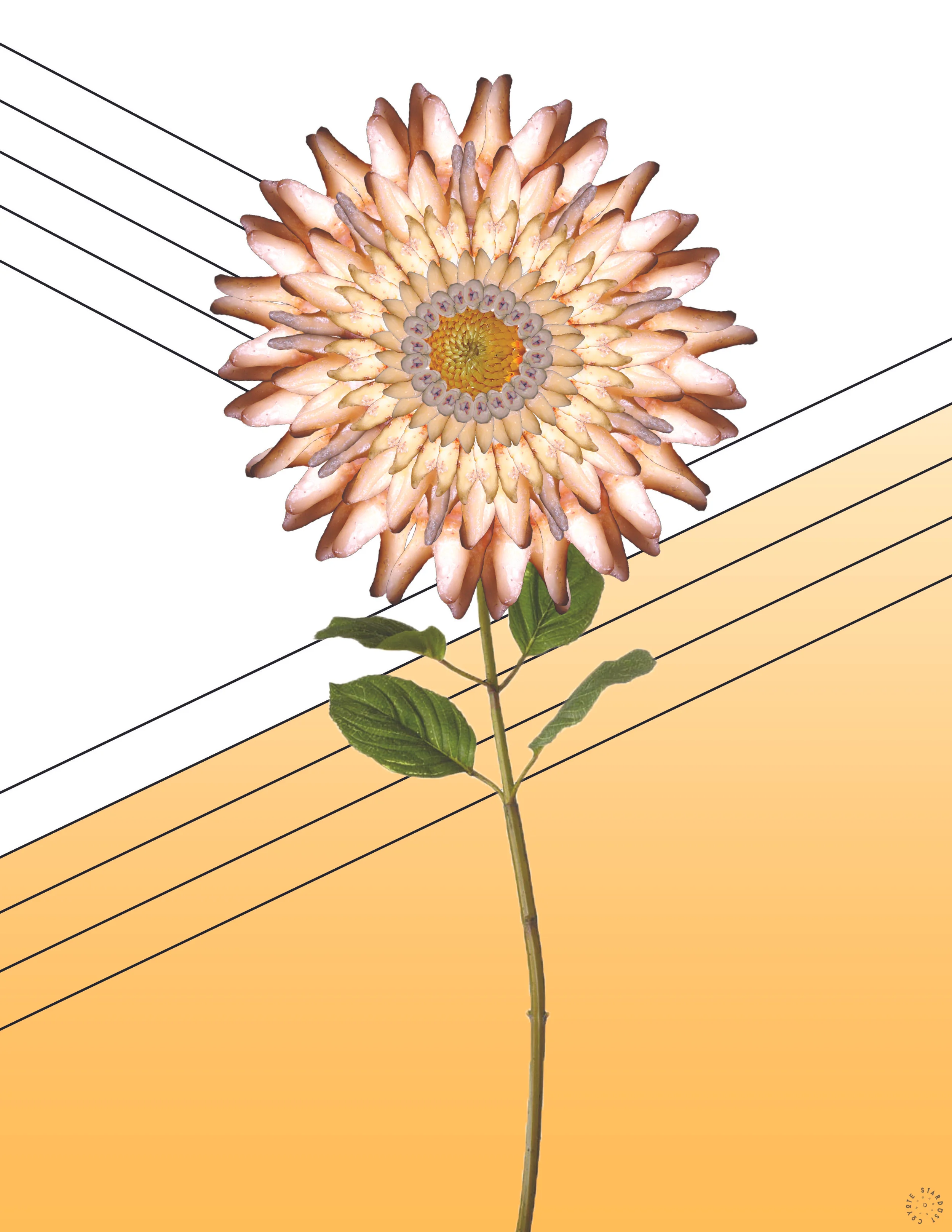 Digital collage for "Weird Adult"