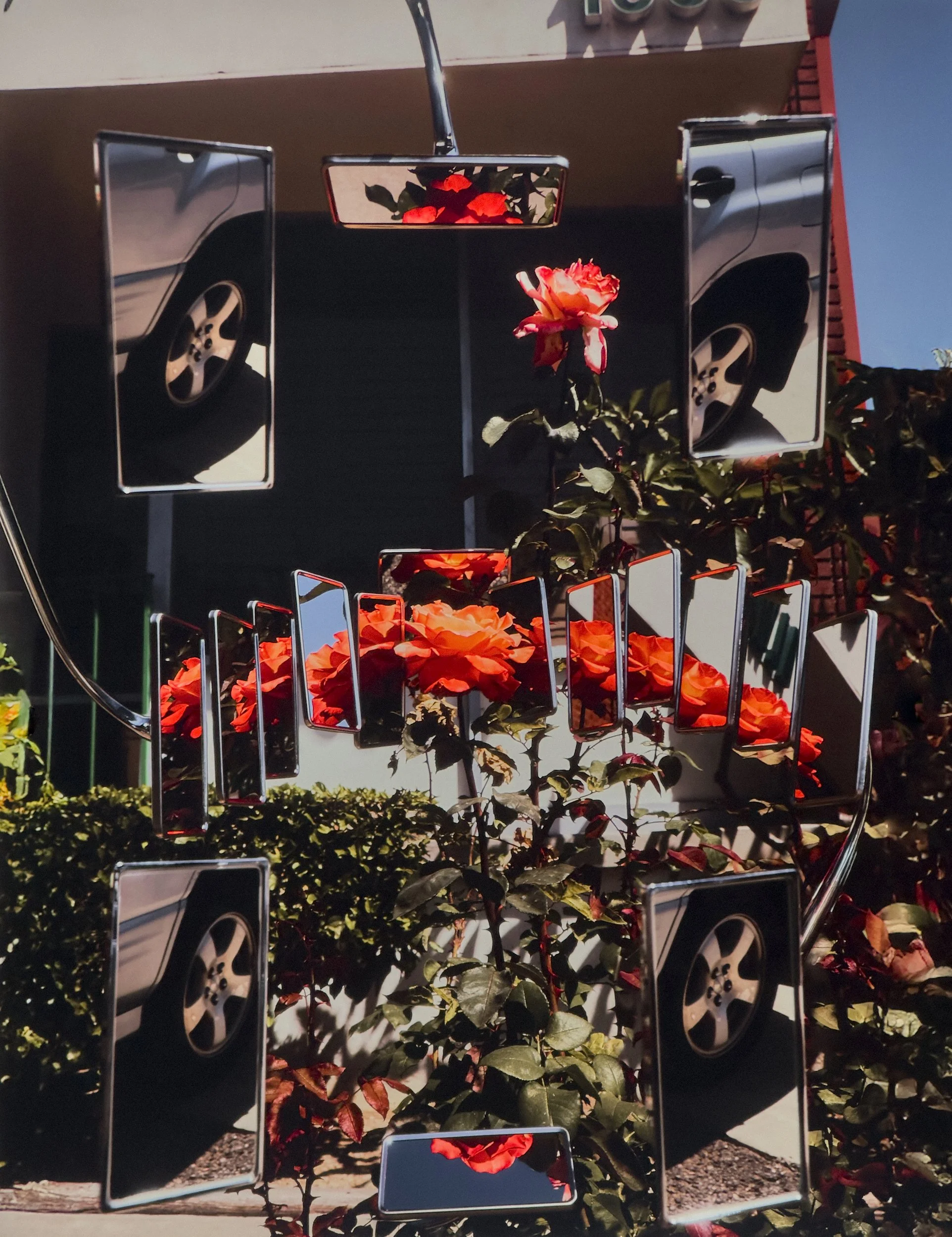 IMG_0812 copy_Full.jpg