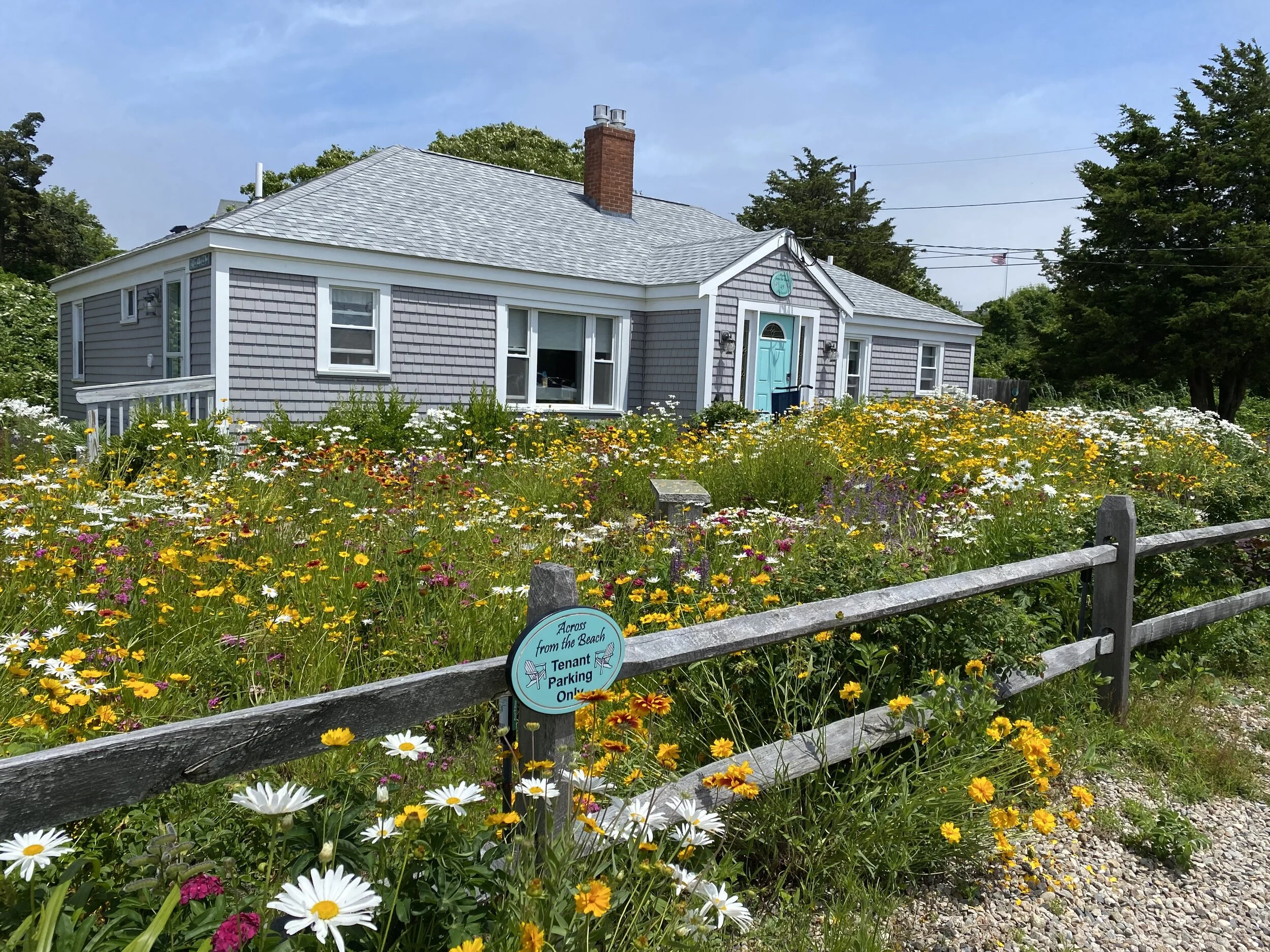 SW Outside with Flowers 2.jpg