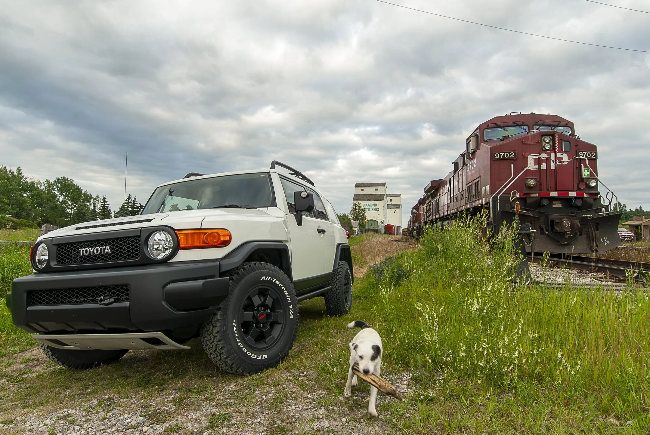2008 Toyota FJ Cruiser Trail Teams Special Edition amee reehal.jpg