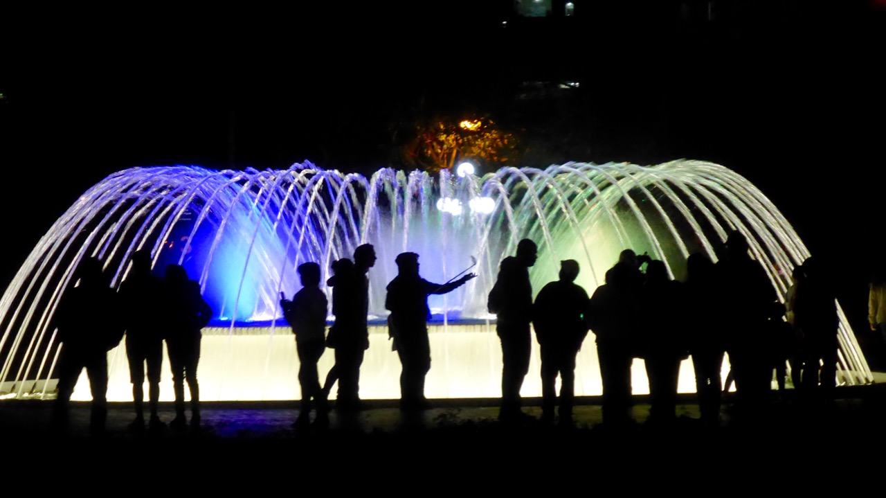 P1030209.jpg