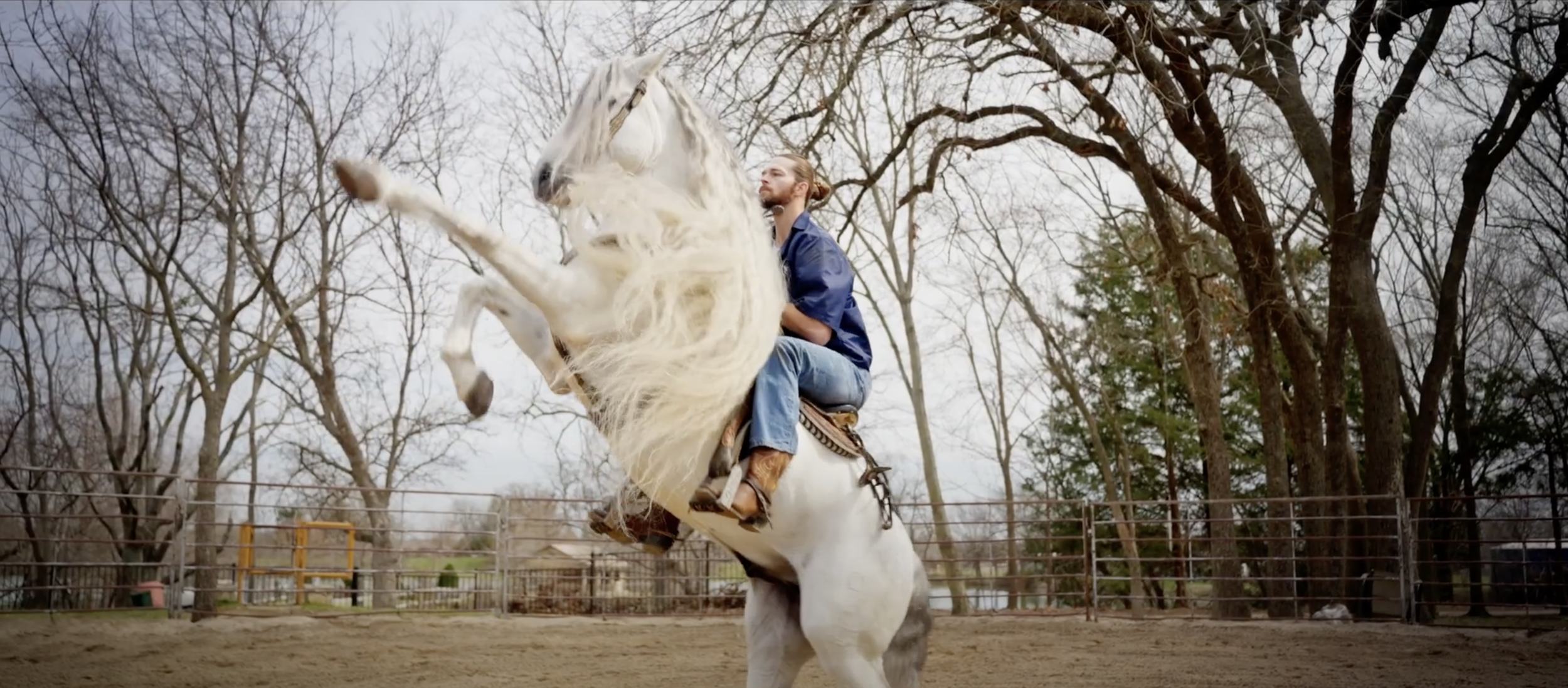Rough 15s MavDetail V2