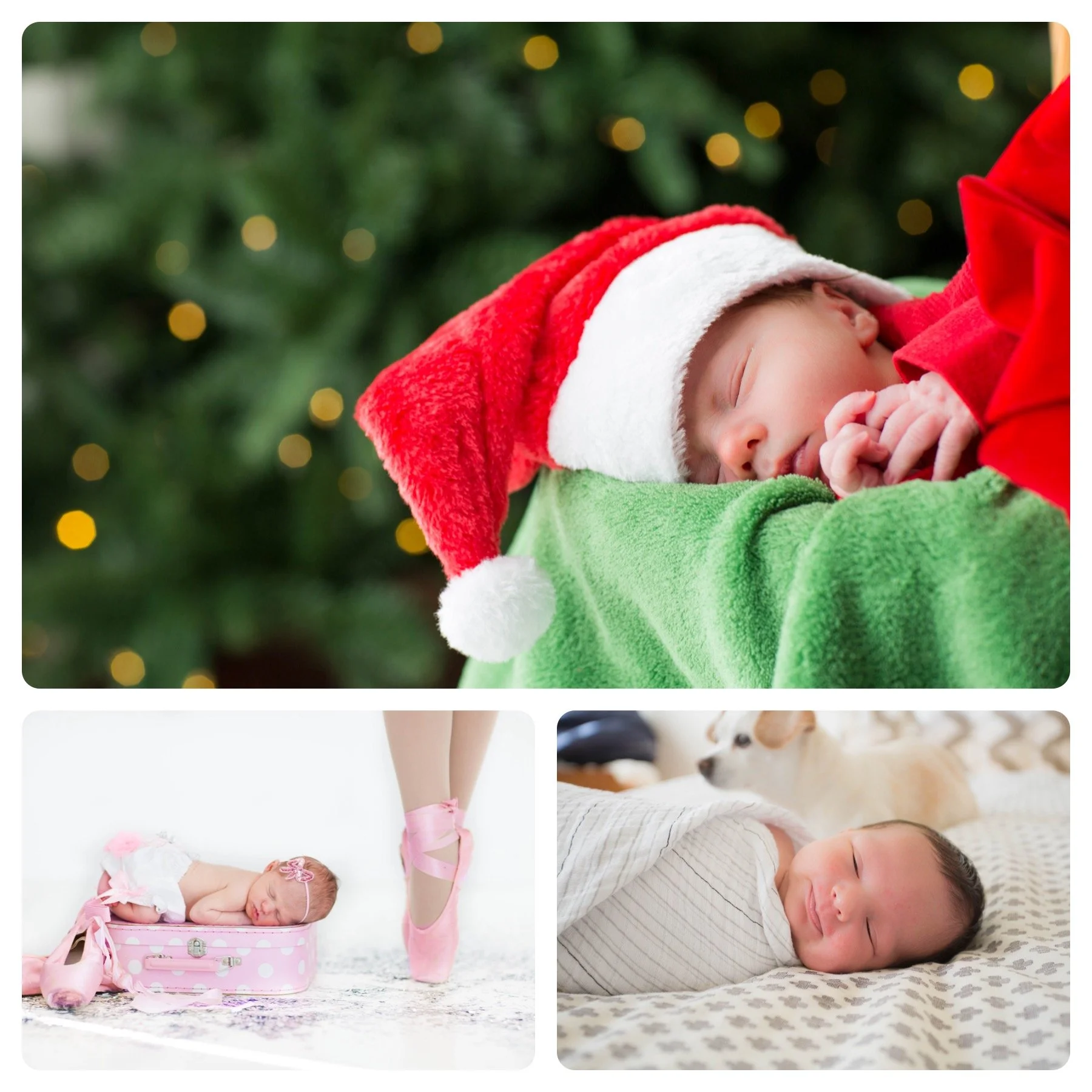 Newborn Photography