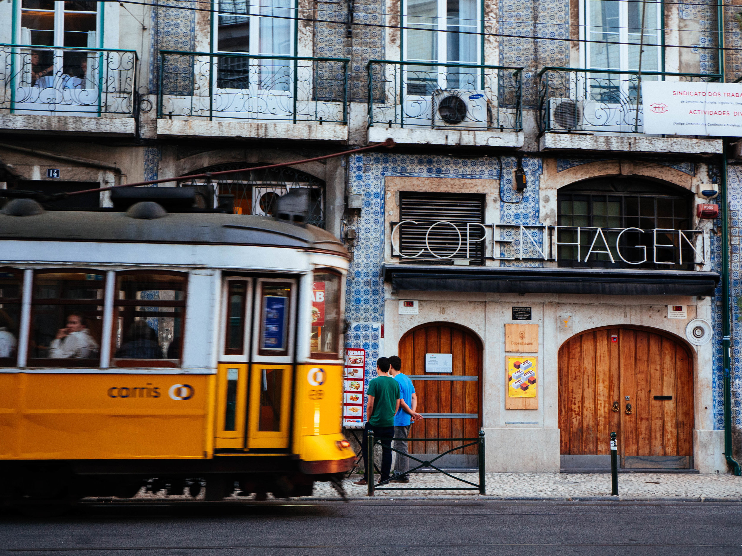 P1030353.jpg