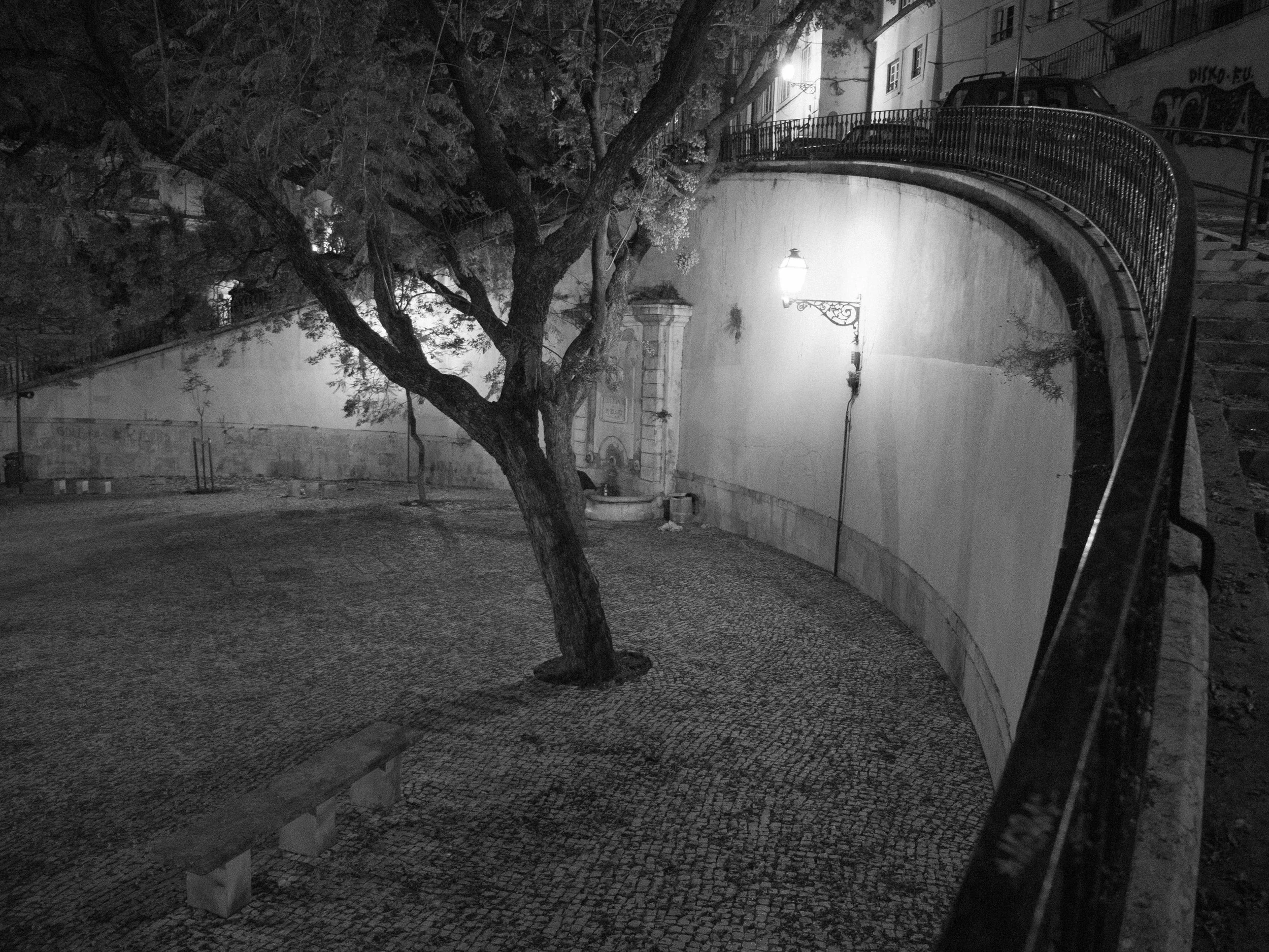 P1030108.jpg