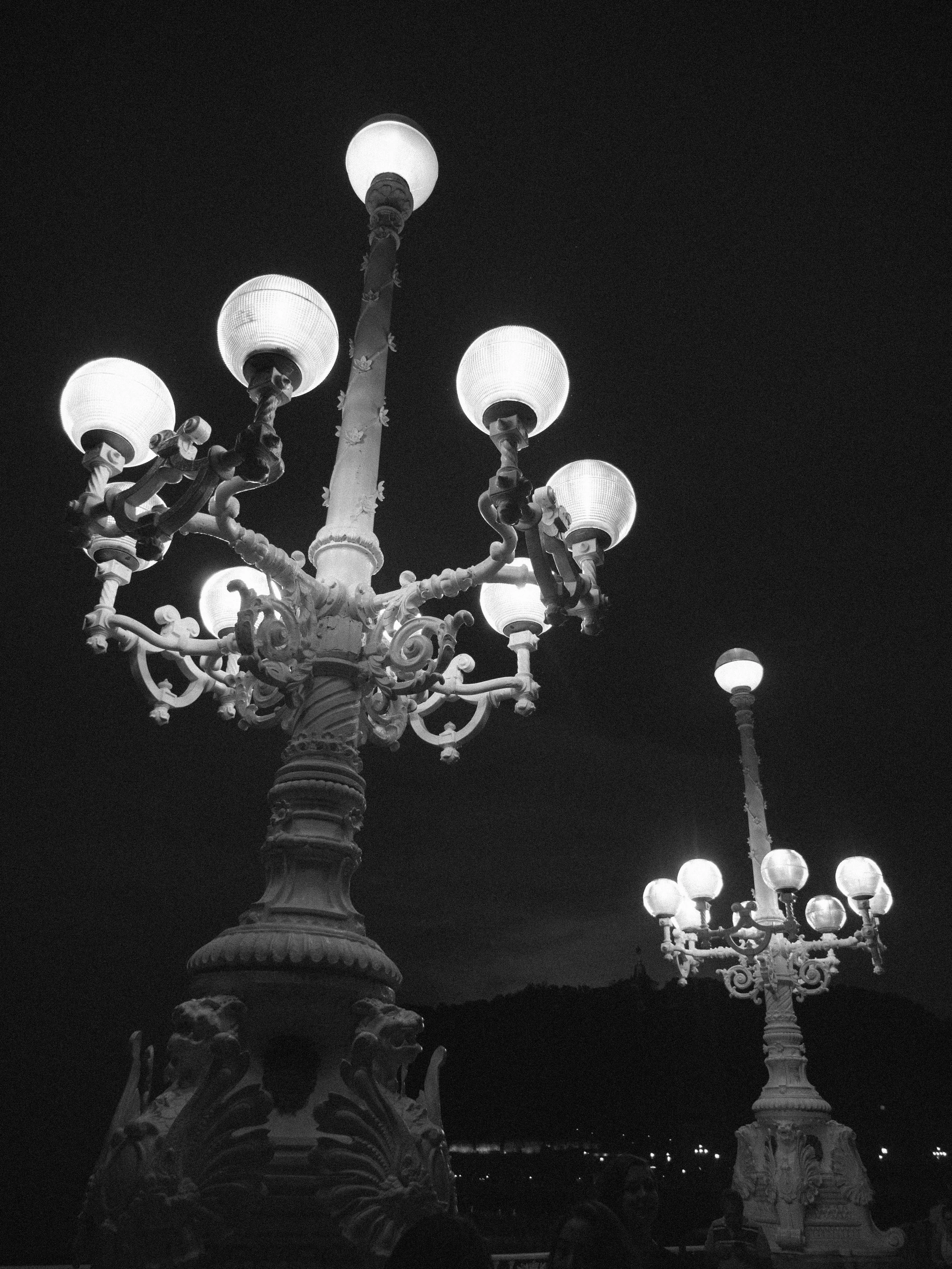 P1030747.jpg