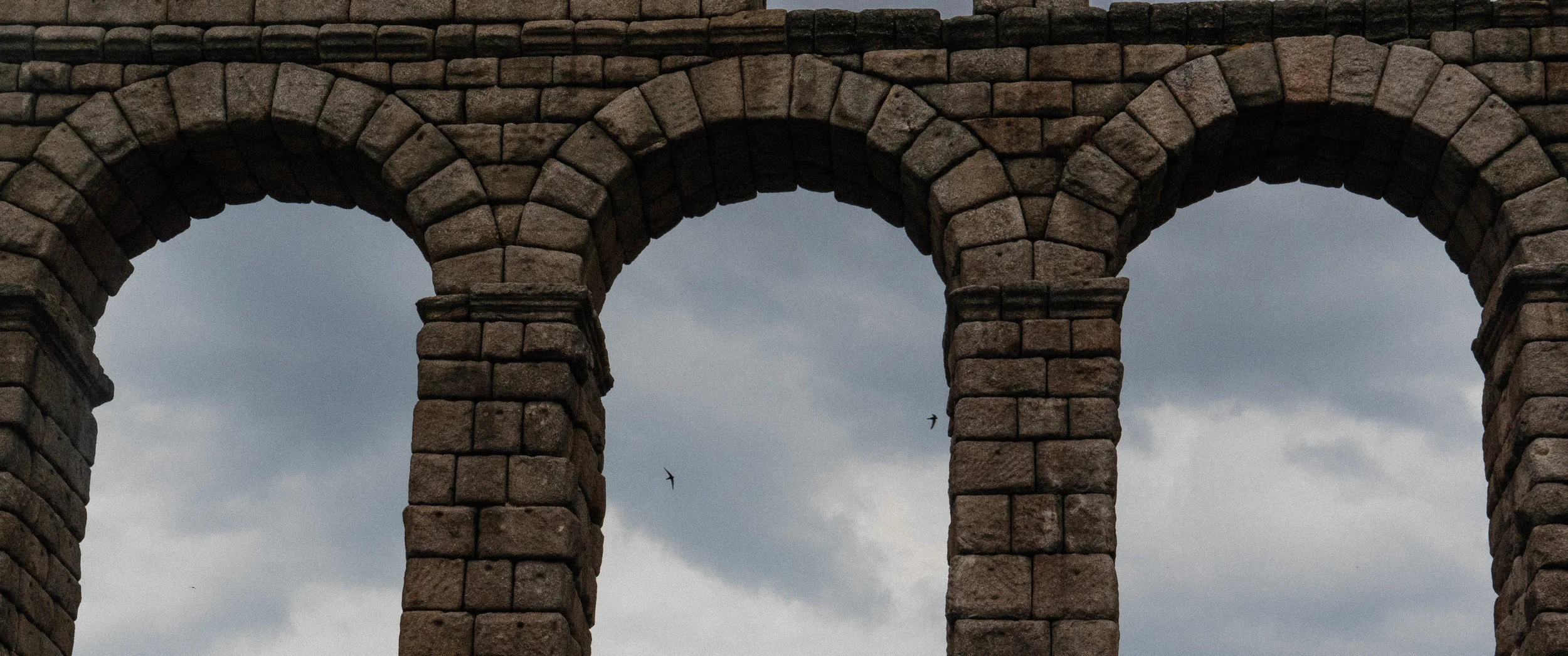 P1040144.jpg