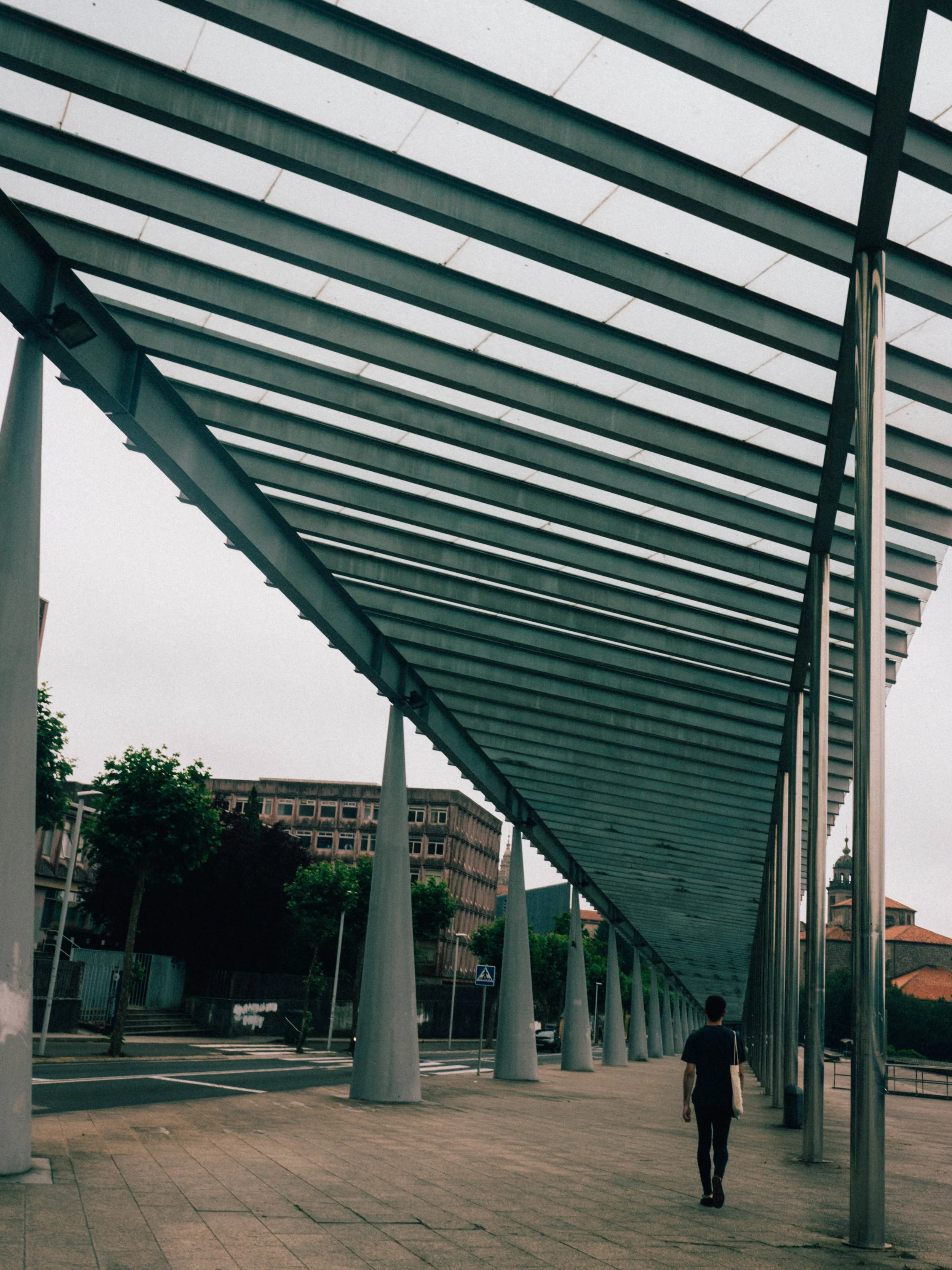 P1050030.jpg