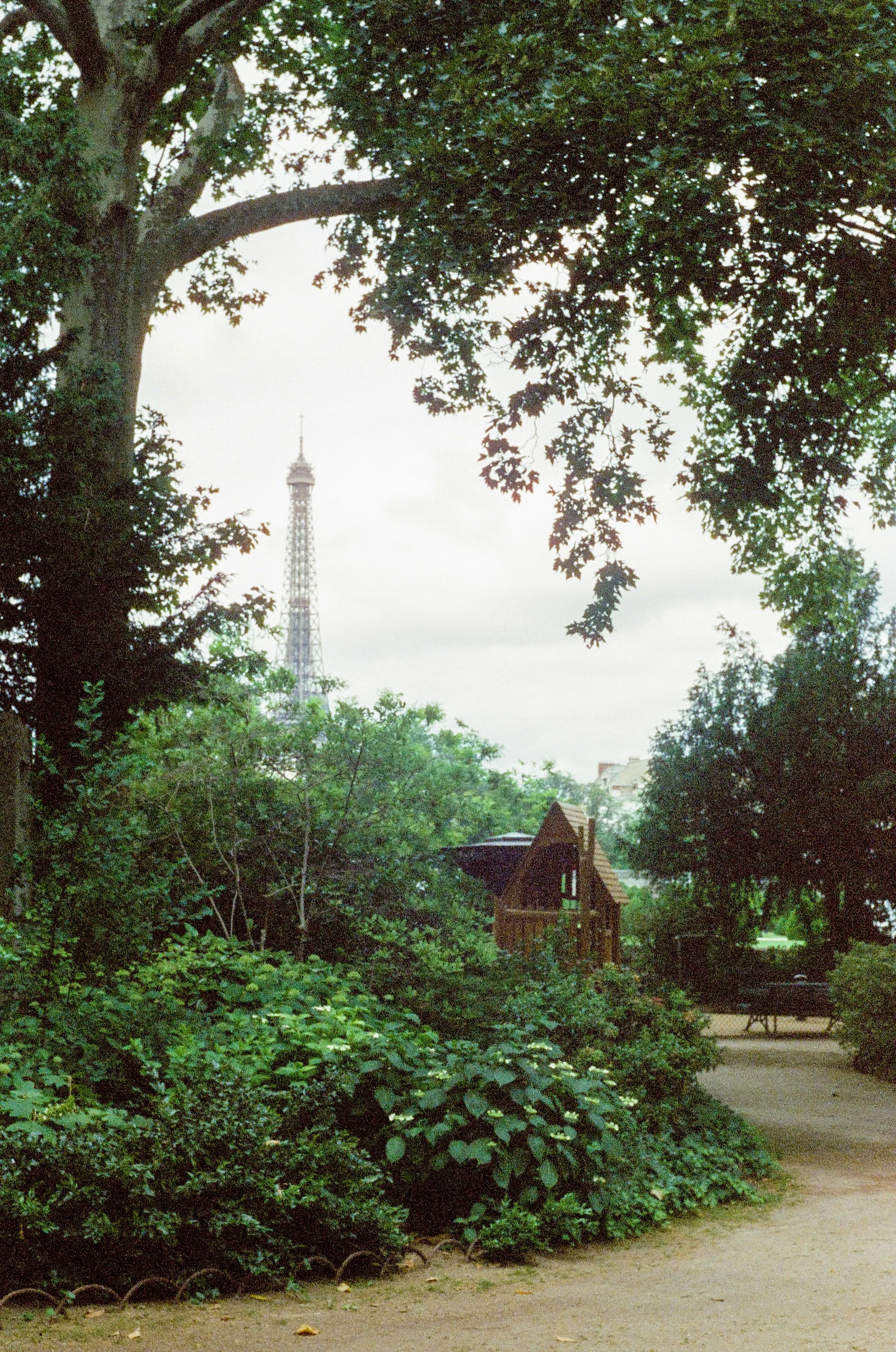 0012-2.jpg