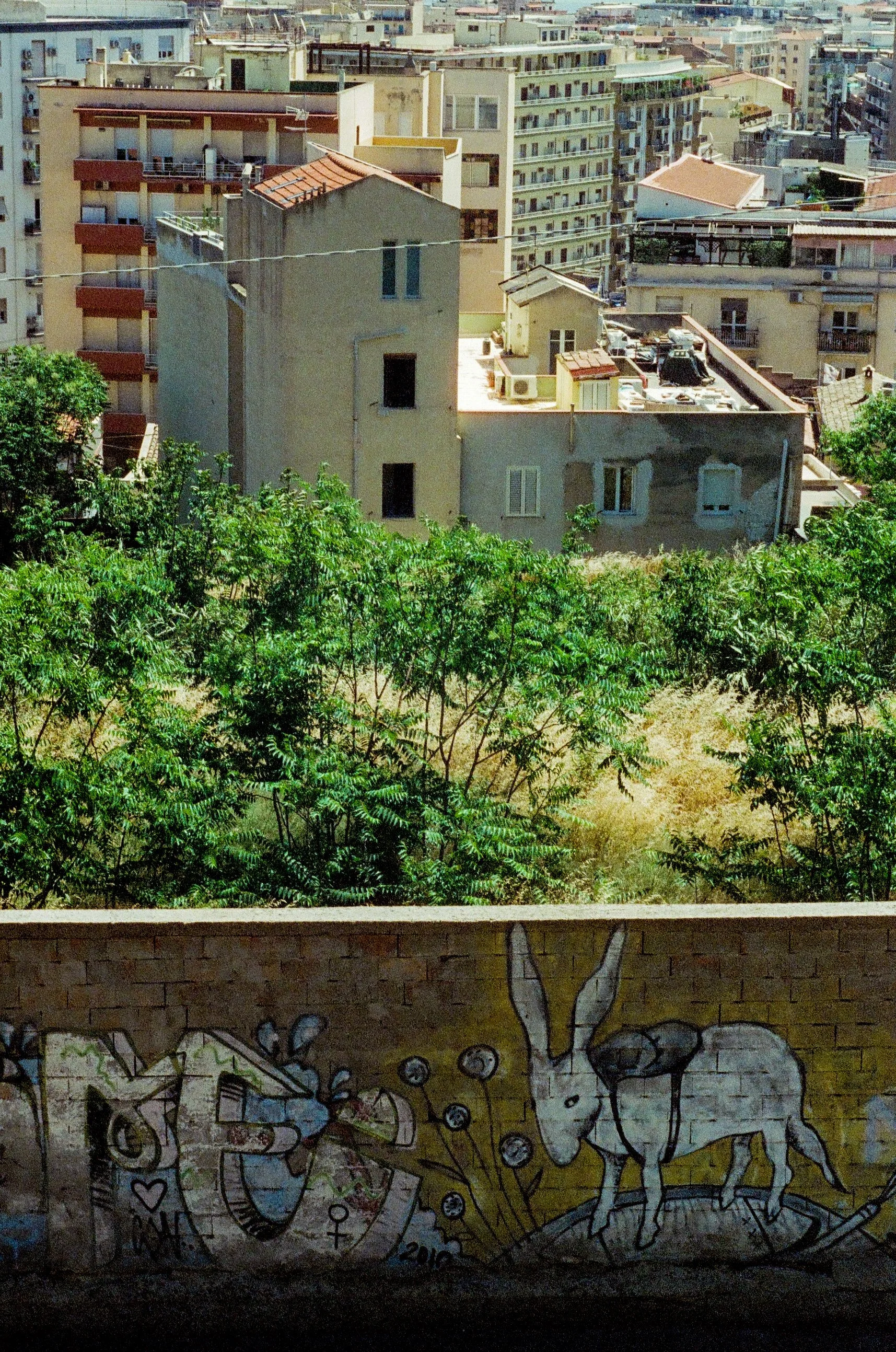 0030-2.jpg