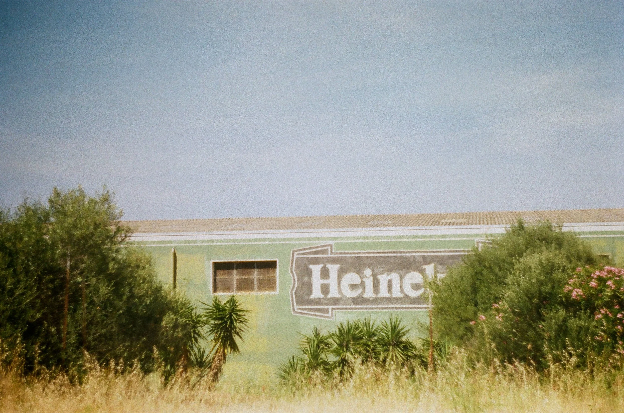 0017.jpg