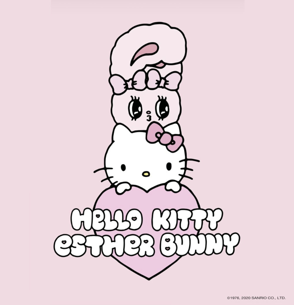 Poster de los personajes de Sanrio  Hello kitty drawing, Hello kitty  iphone wallpaper, Hello kitty art