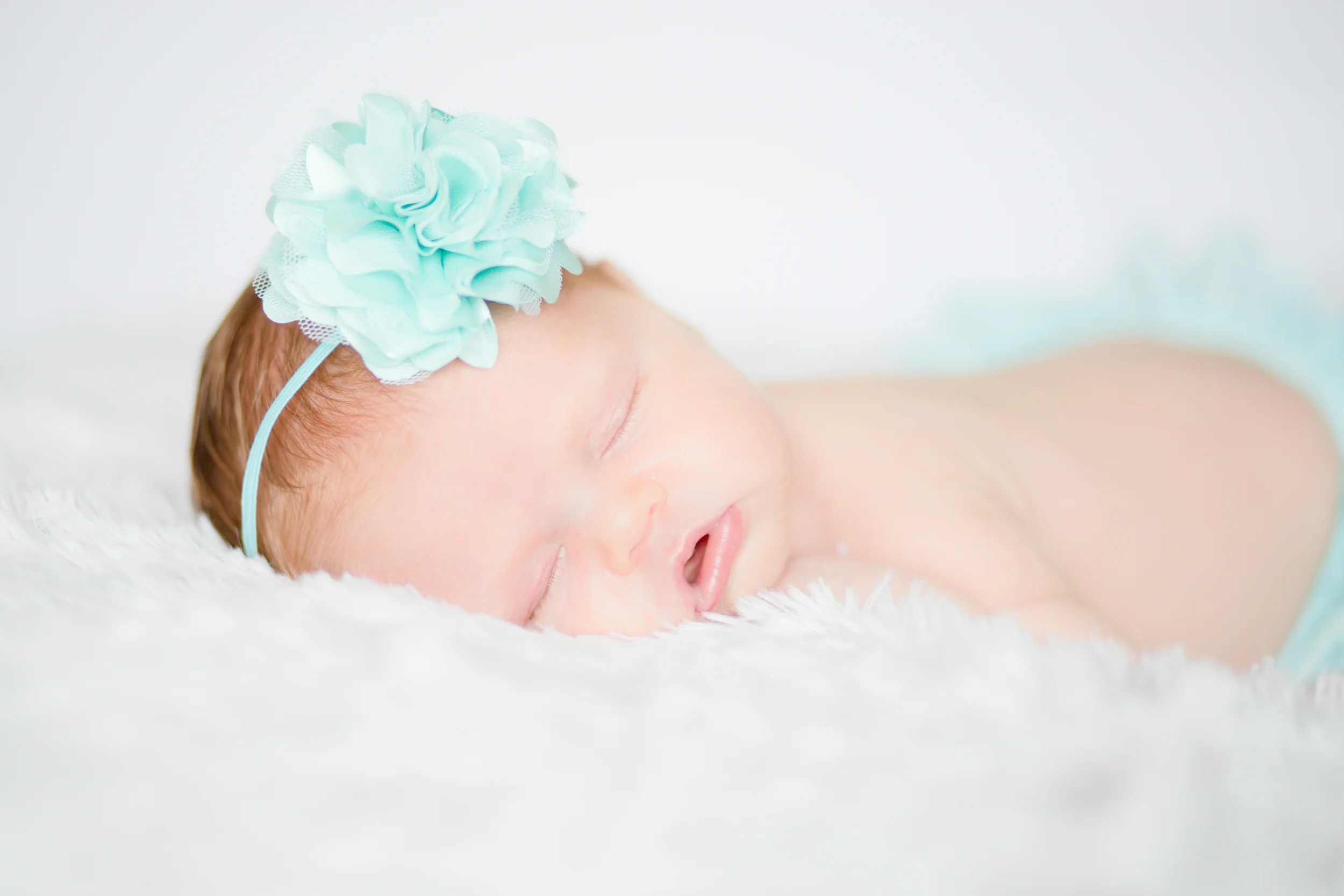 Lightroom328A9752.jpg