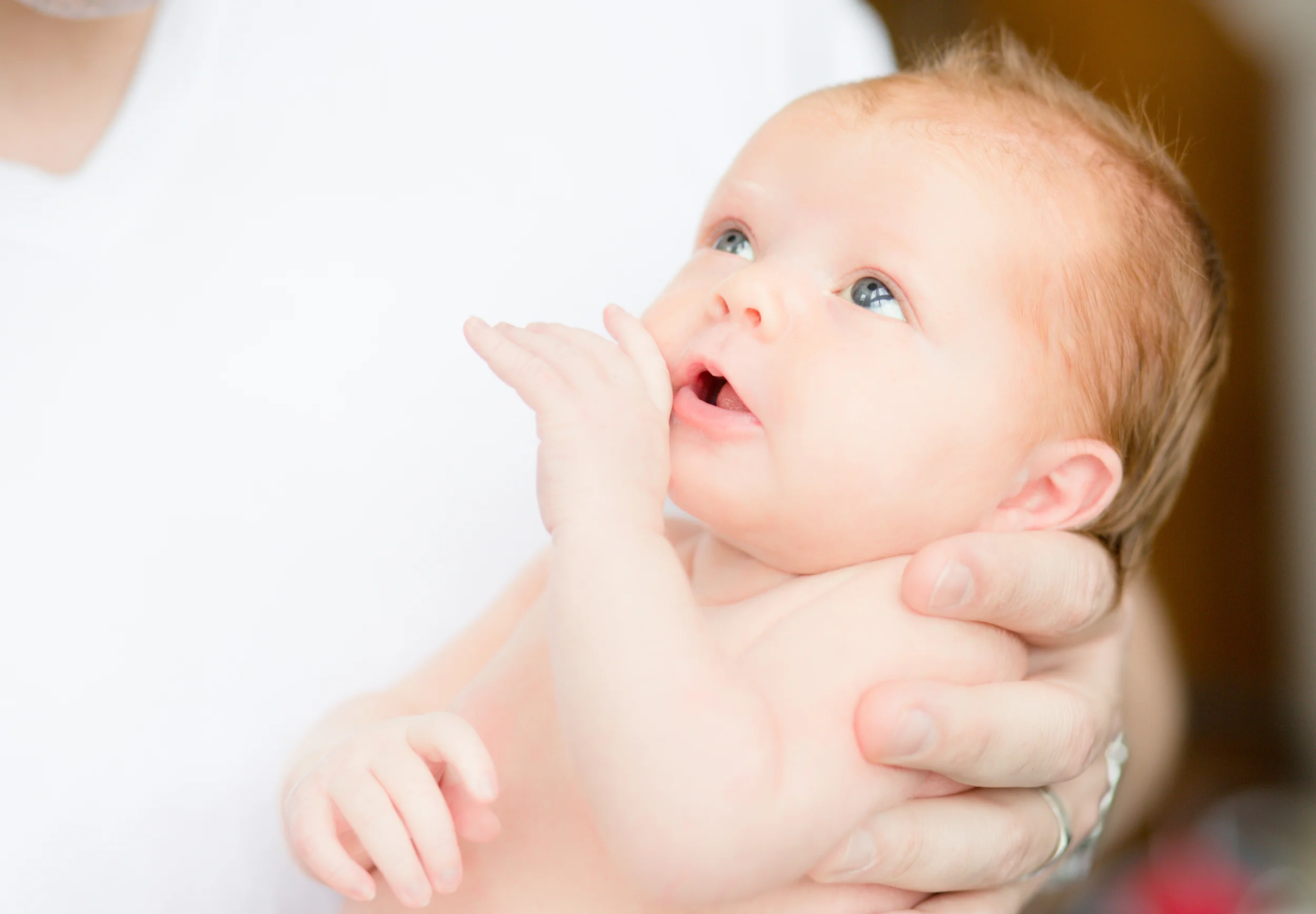 Lightroom328A9623 copy.jpg