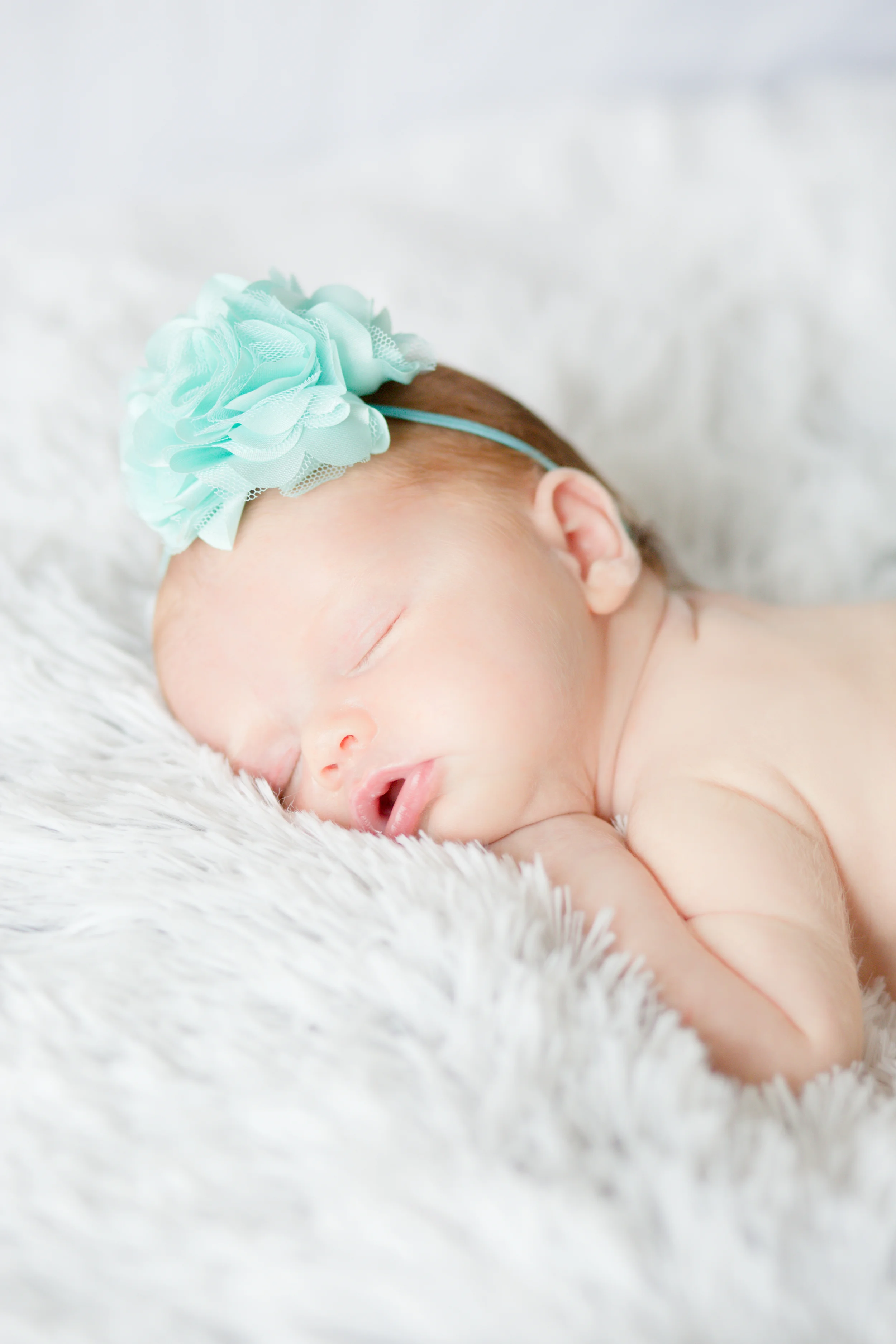 Lightroom328A9742.jpg
