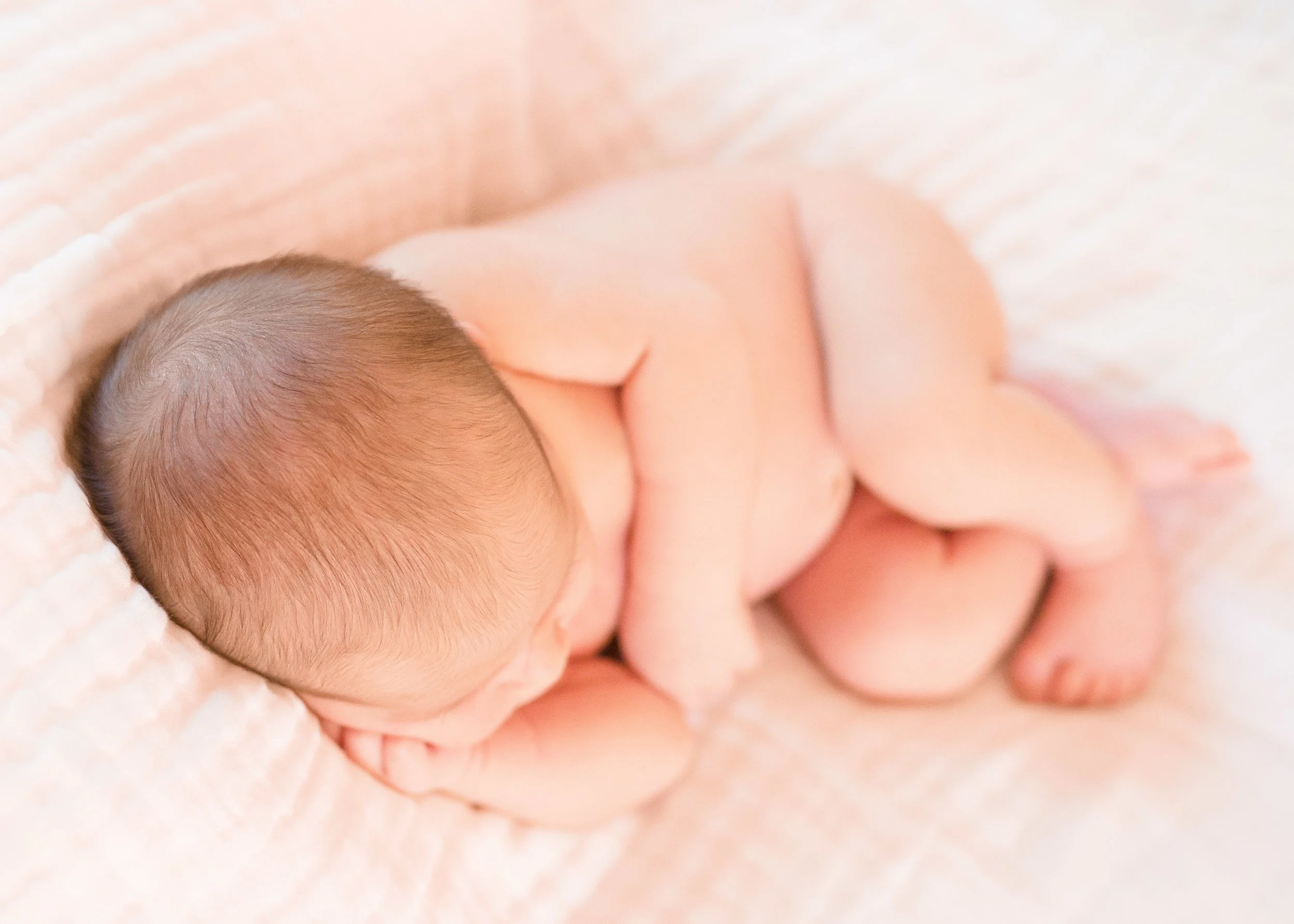 Lacey_Michelle_Photography_LR-0938.jpg