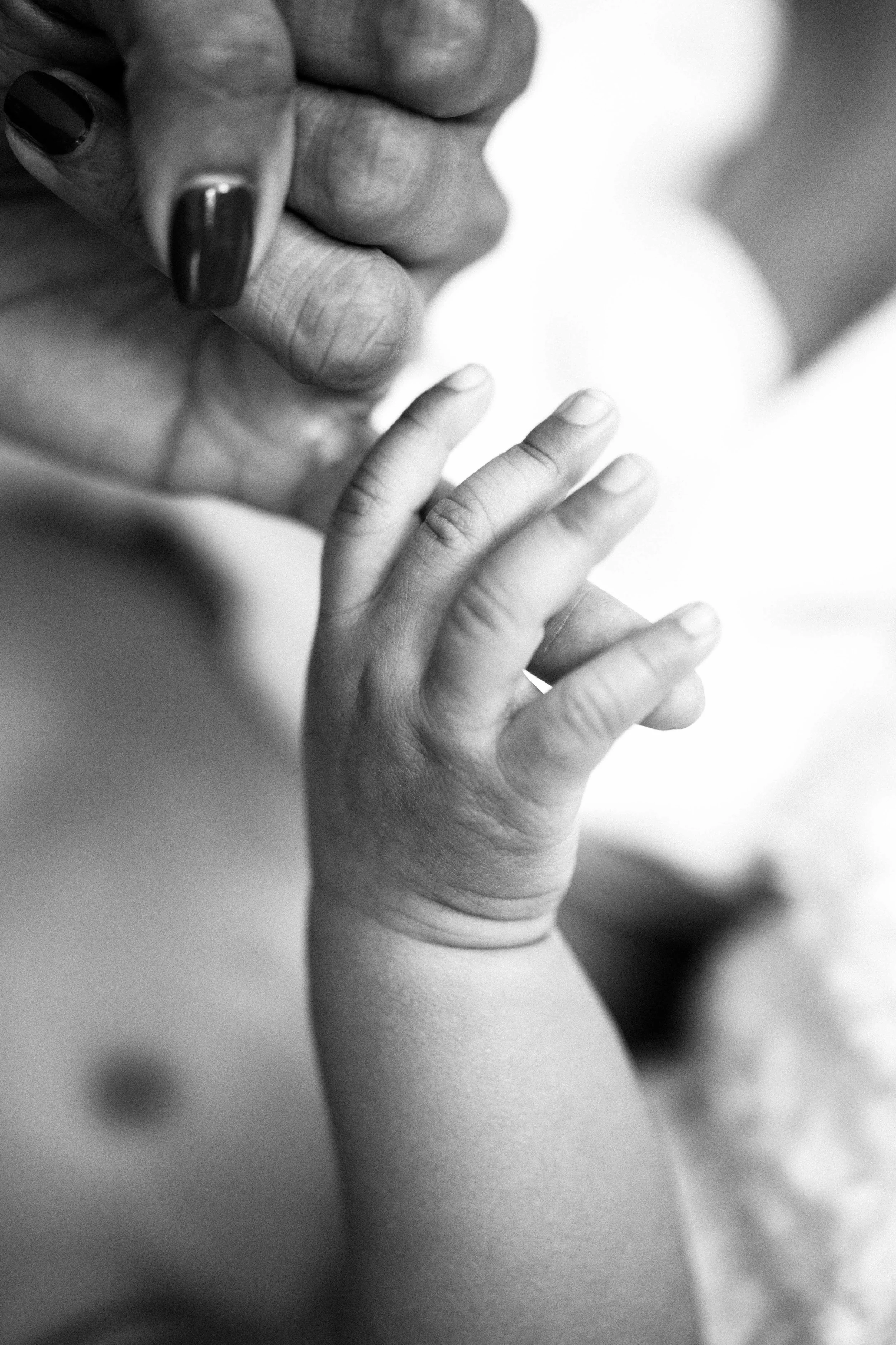 ALacey_Michelle_Photography_LR-8749.jpg