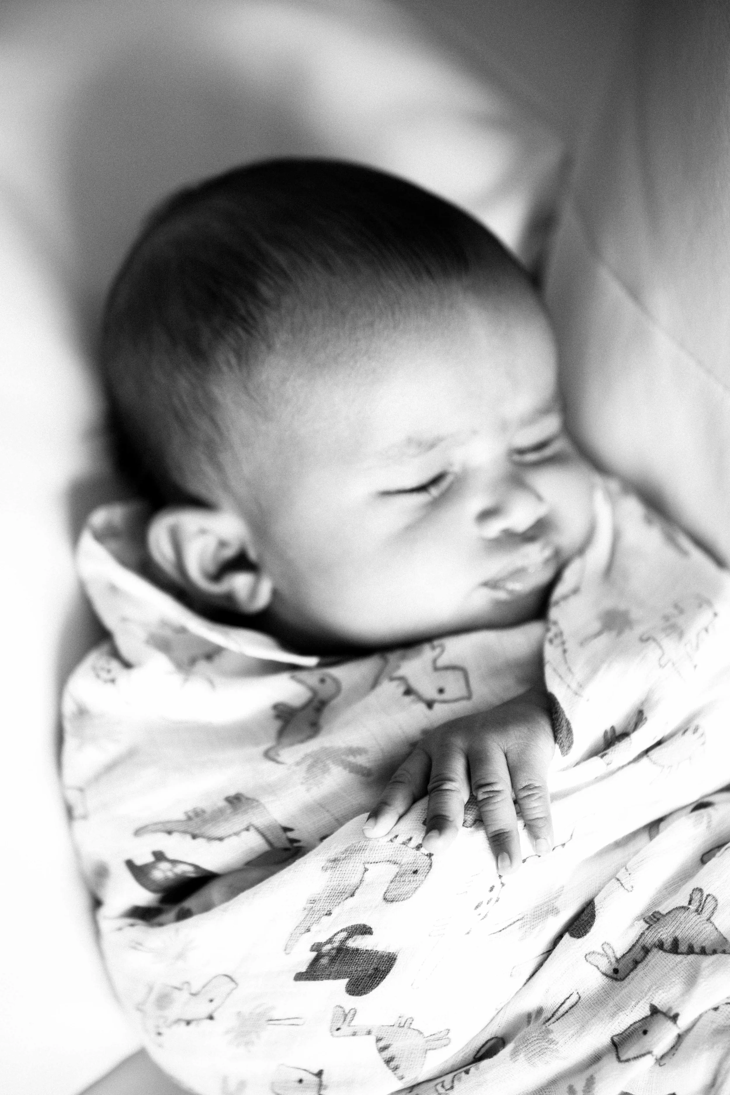 ALacey_Michelle_Photography_LR-8730.jpg