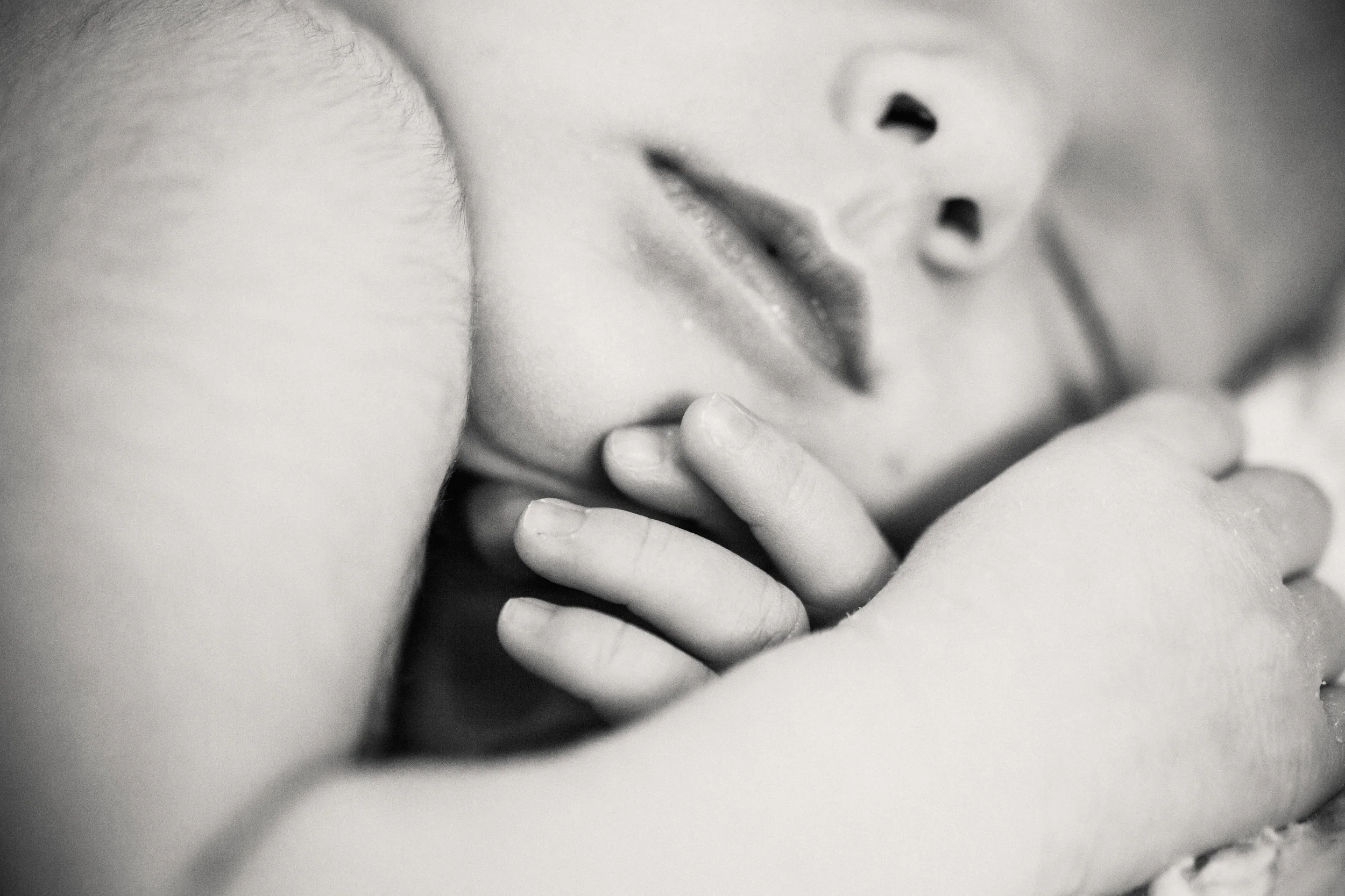 ALacey_Michelle_Photography_LR-9352.jpg