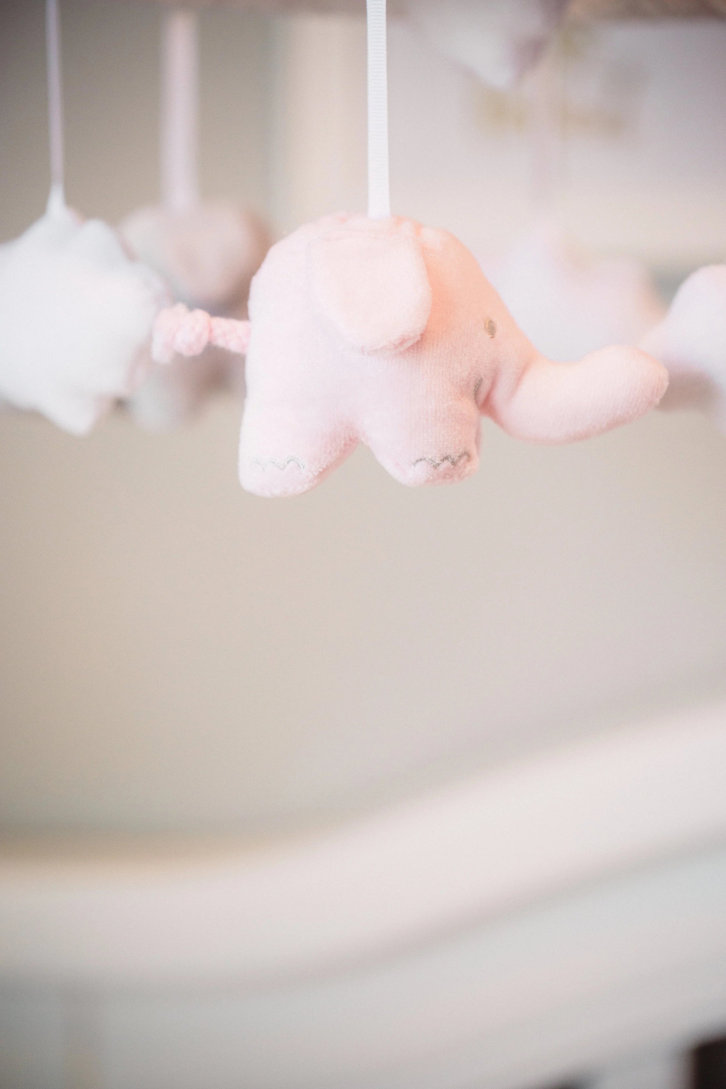 ALacey_Michelle_Photography_LR-9138.jpg
