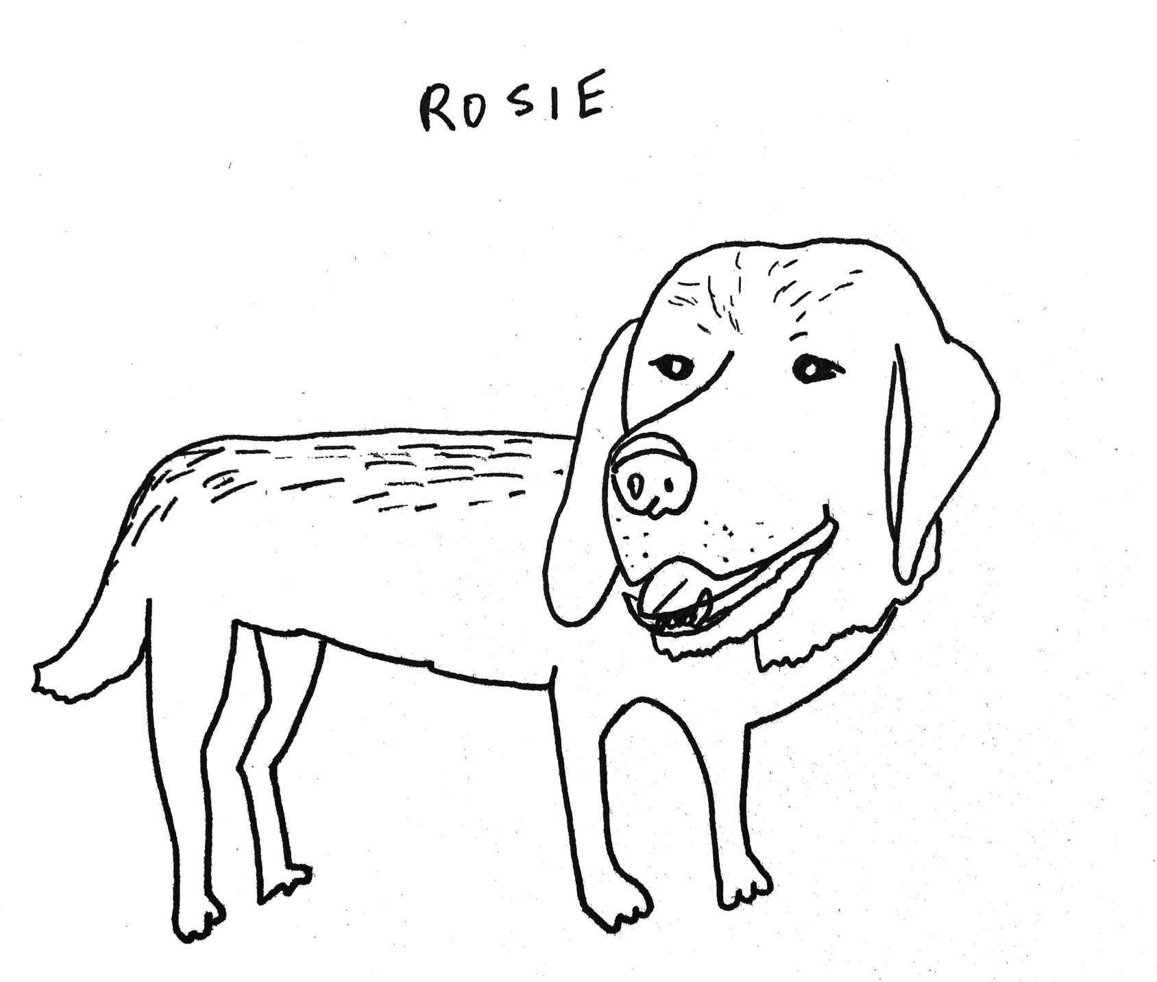 Rosie.jpg