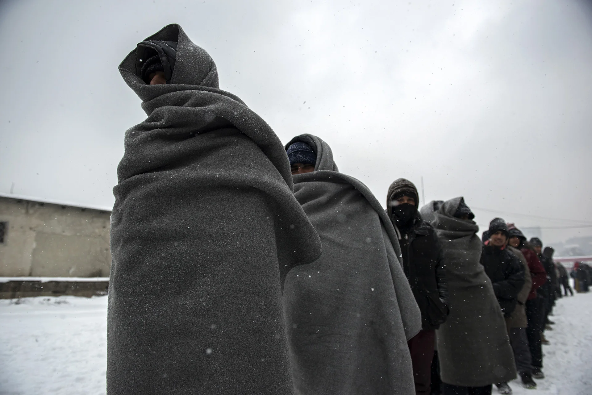 Migrants Winter Journey