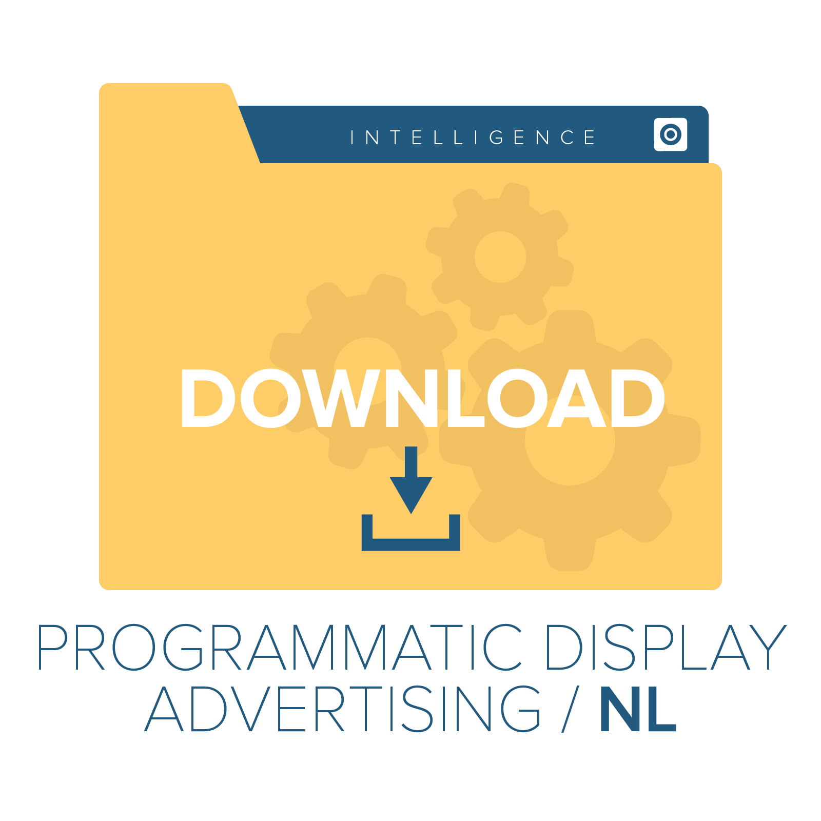 display programmatico-adv-nl.png