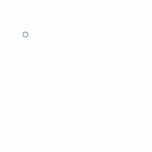 White Label DSP