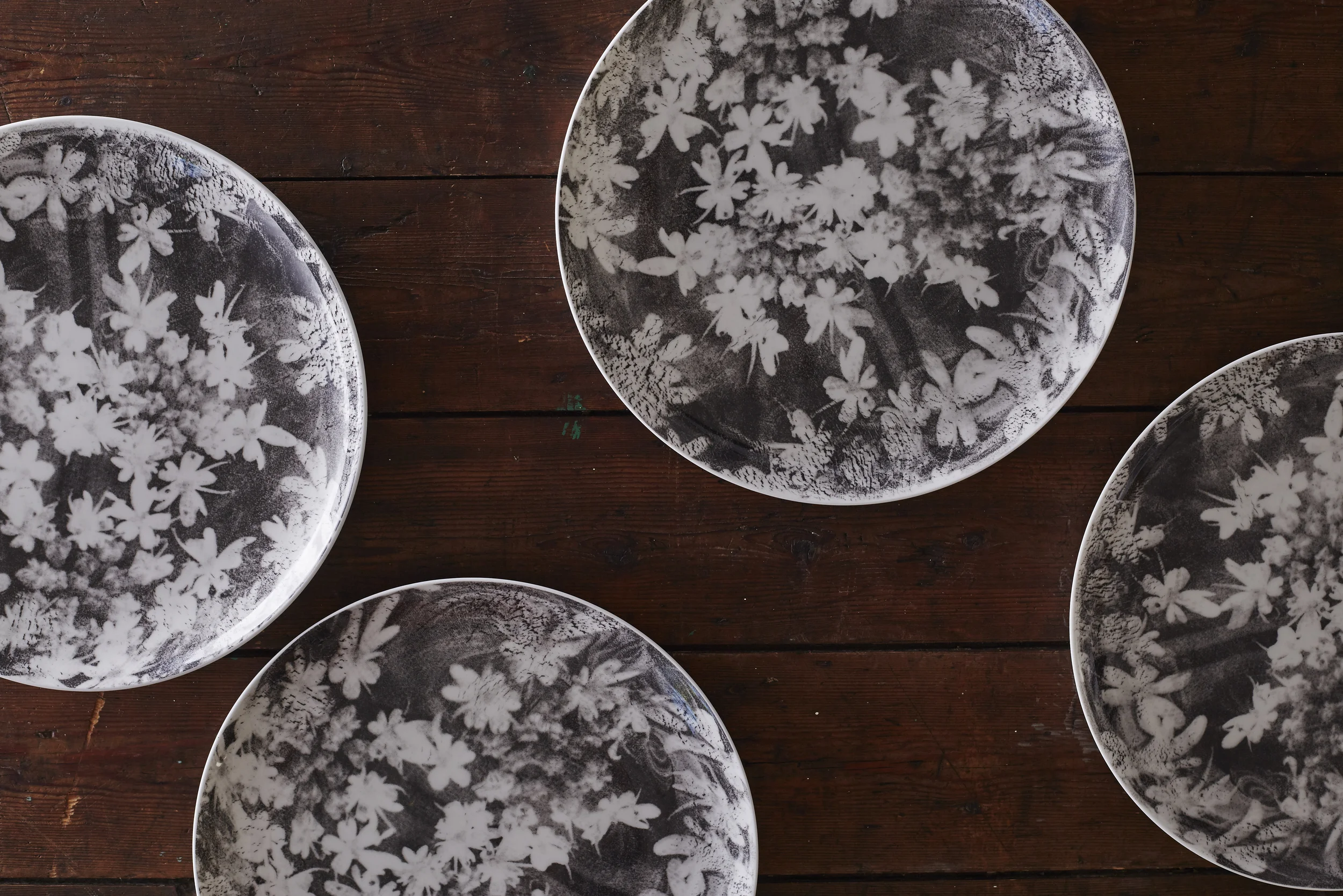 Wood Anemone dinner plates