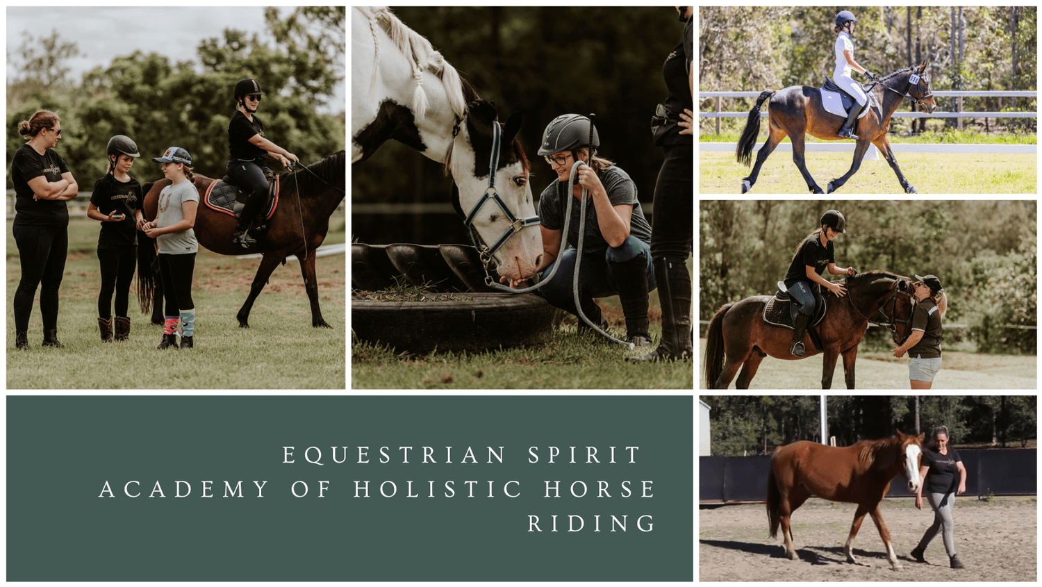 Equestrian Program Horse Riding — Equestrian Spirit
