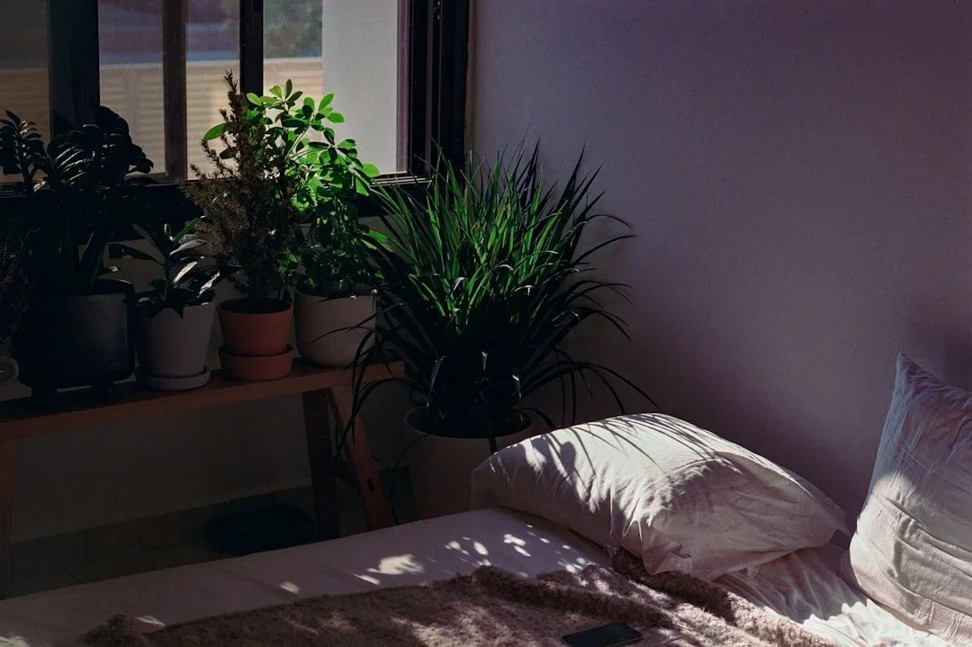 Acupuncture for Stress and Sleep in Lewes