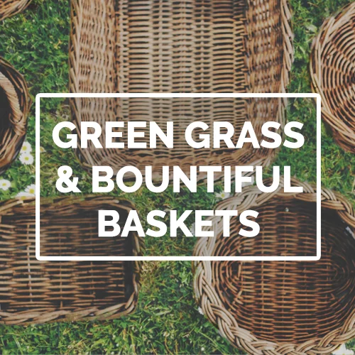 Green grass pod image.jpg