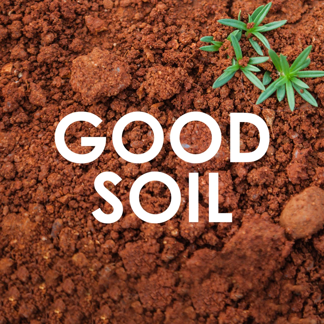Good soil.jpg