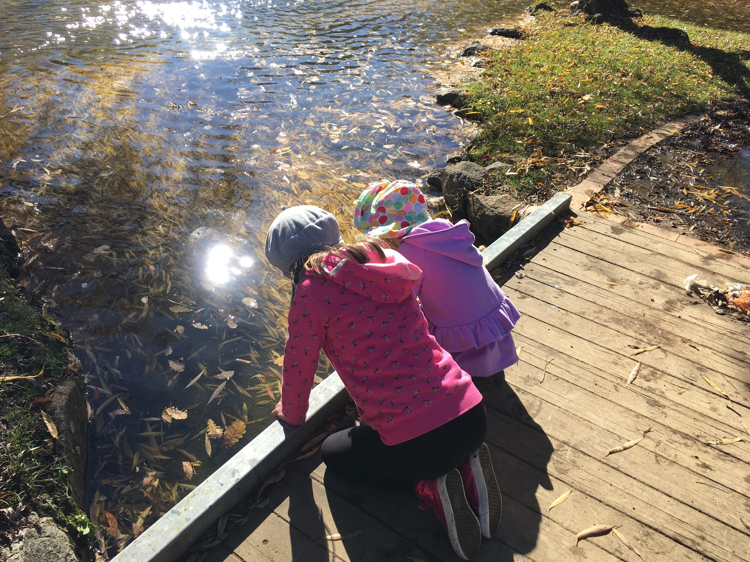 Girls pond.jpg