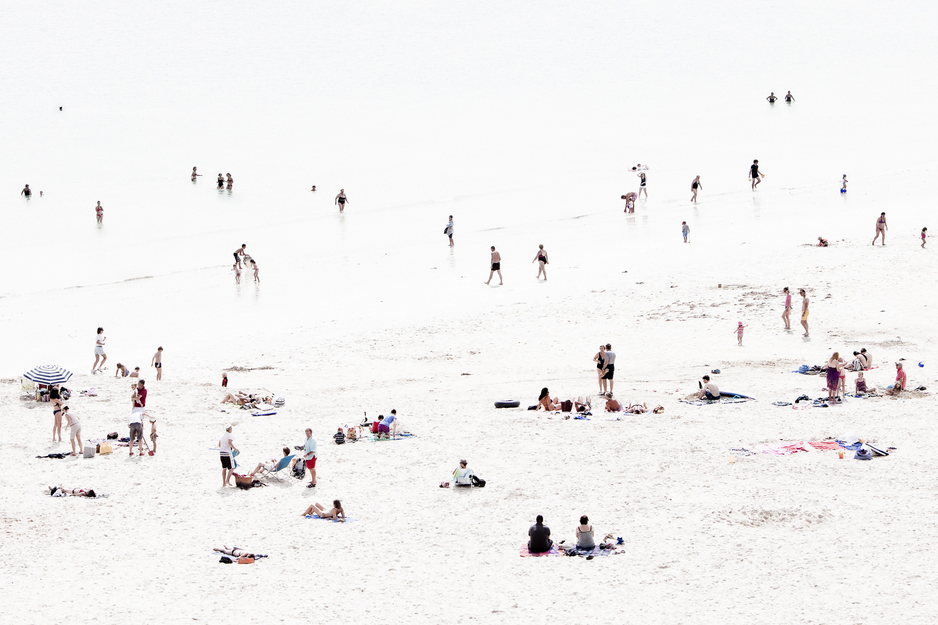 Formicidae #3 ( 2012 ) Edition : 37x56cm (ed°/8) & 60 x90cm (ed°/8)